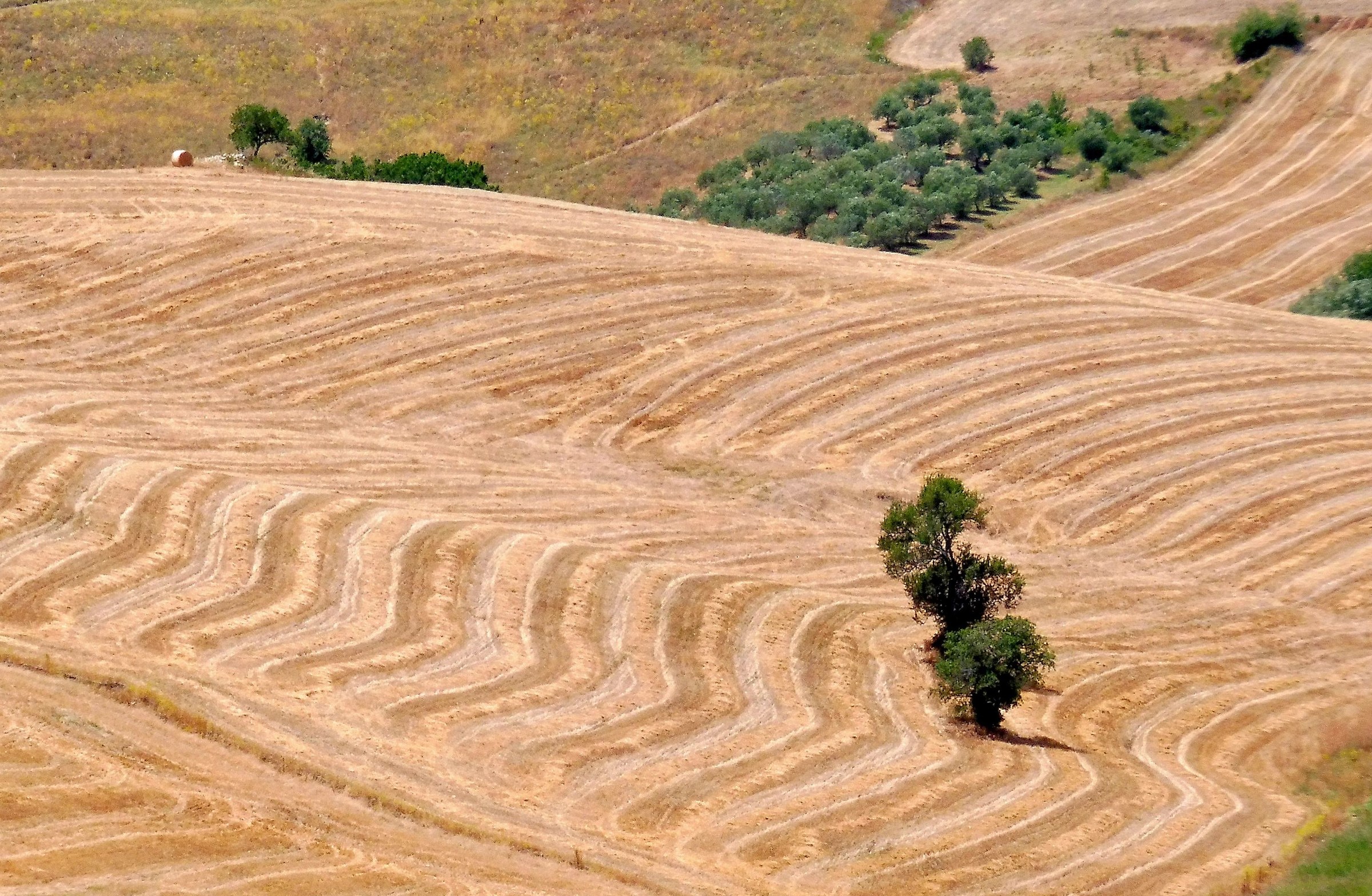 Senza Titolo a Colori