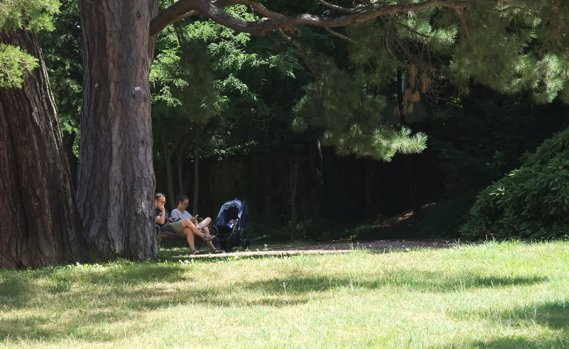 Cercando il fresco nel Parco