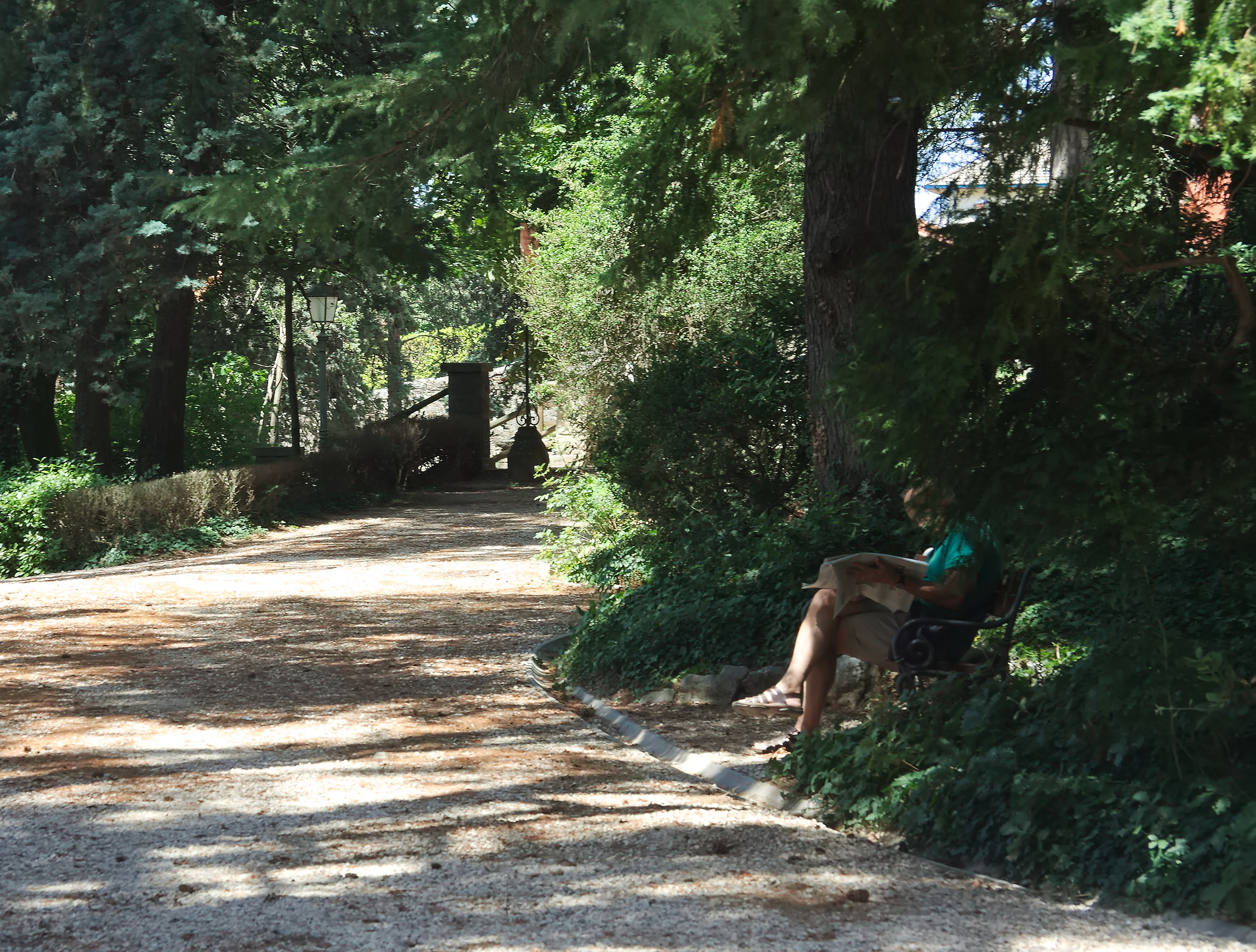 Looking for cool in Park2