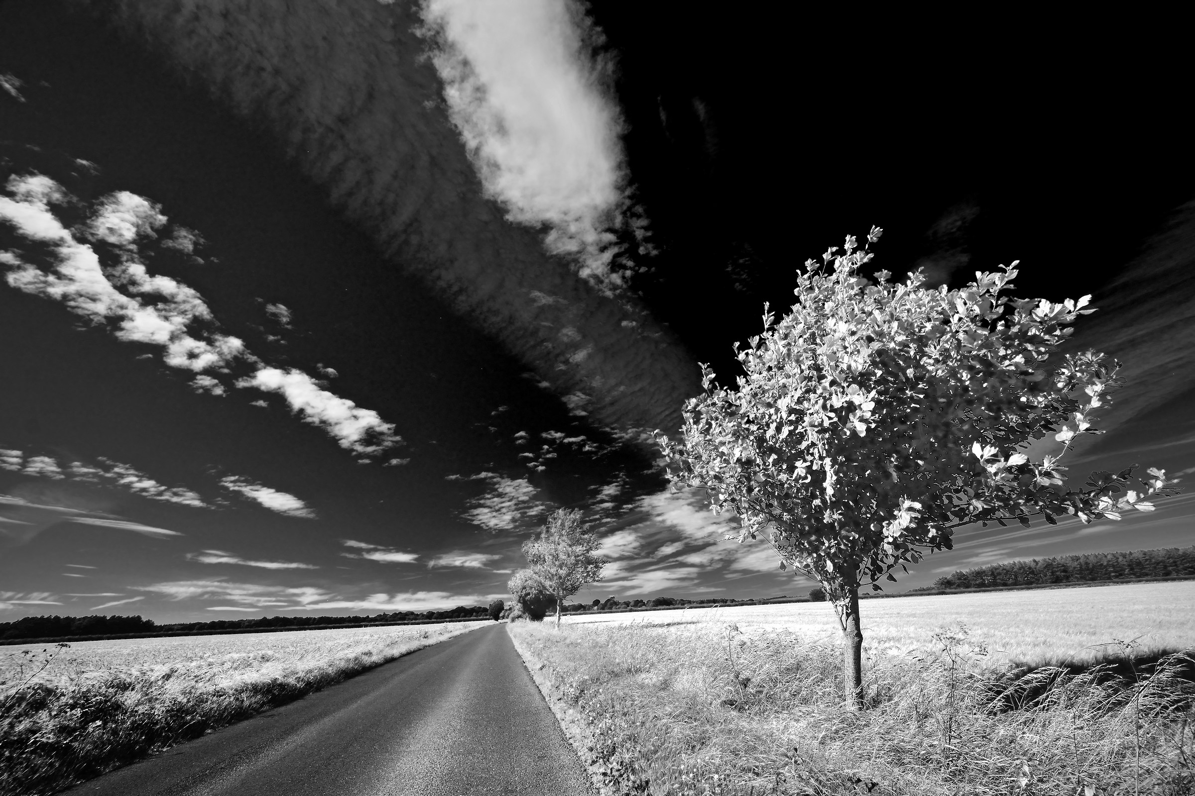 Questa lunga passeggiata (in una giornata calda)