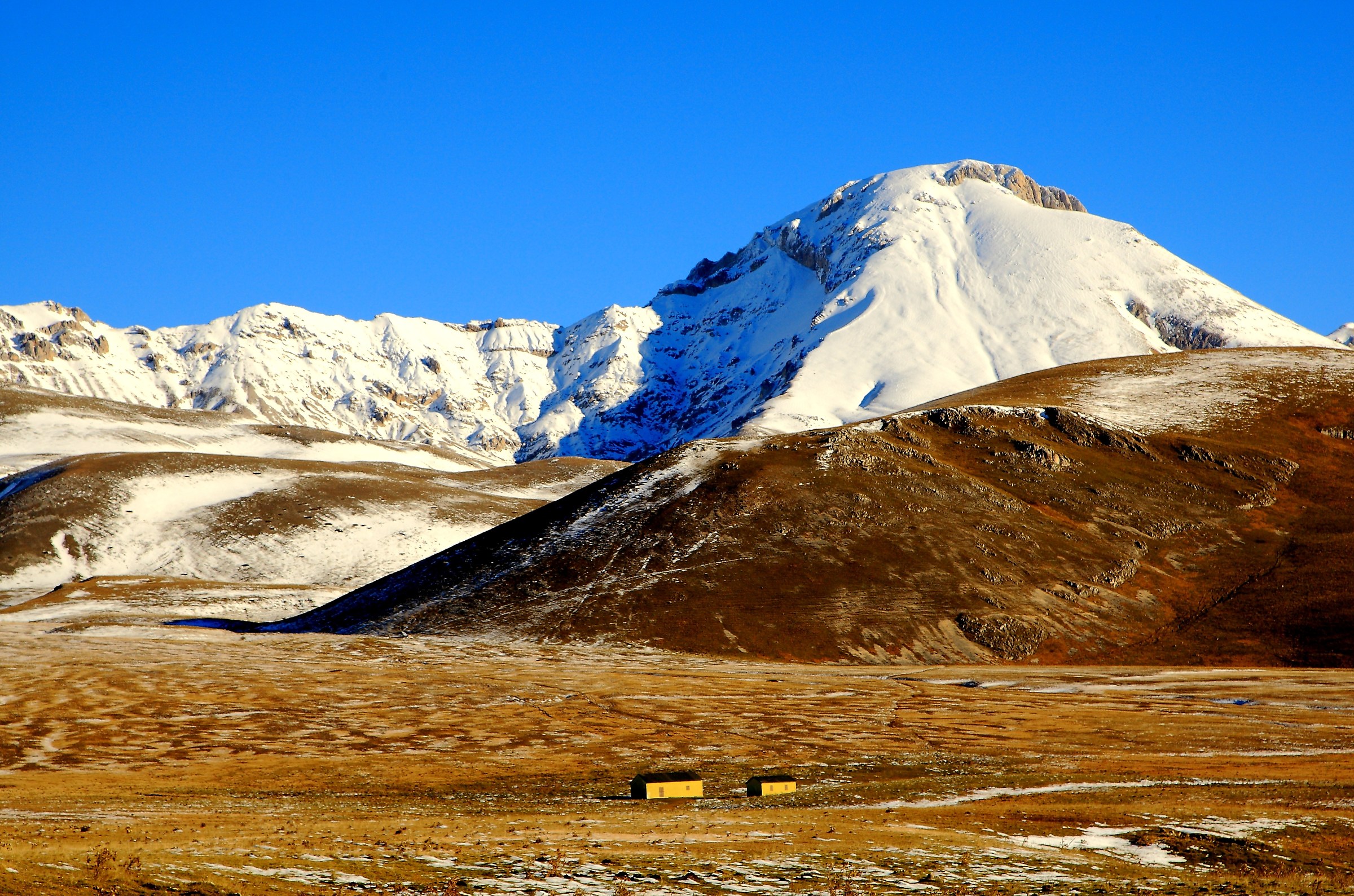 Forty days before the tragedy.