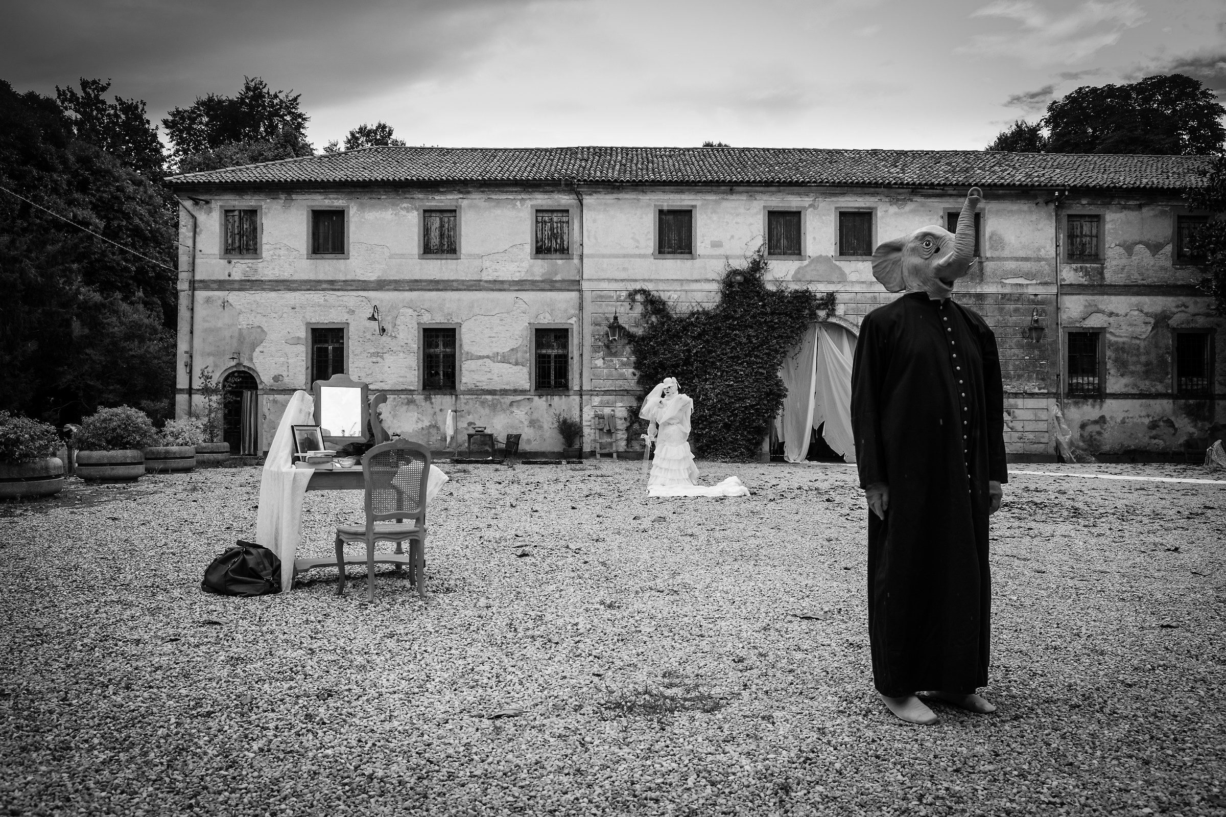 Il trionfo degli elefanti