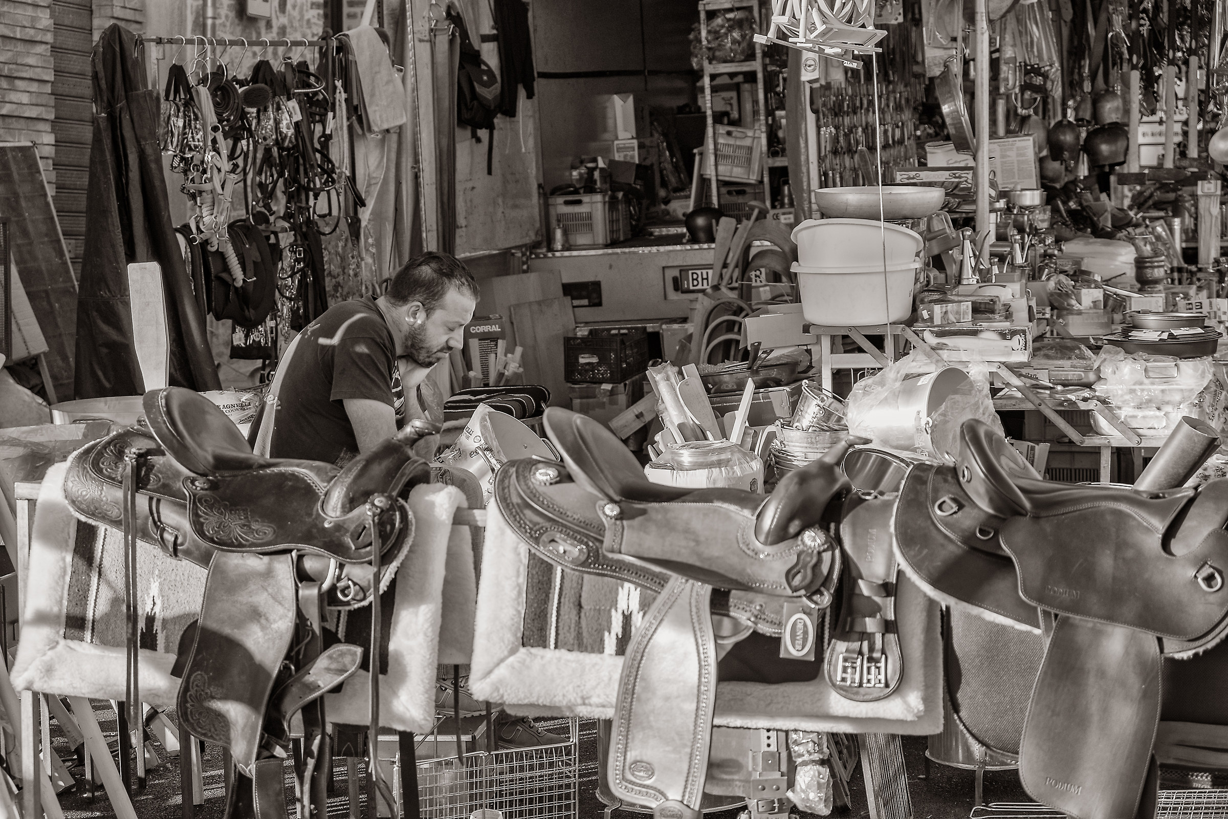 Oh oh horse, oh oh horse, oh oh