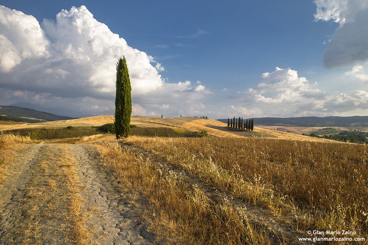 Untitled Photo
