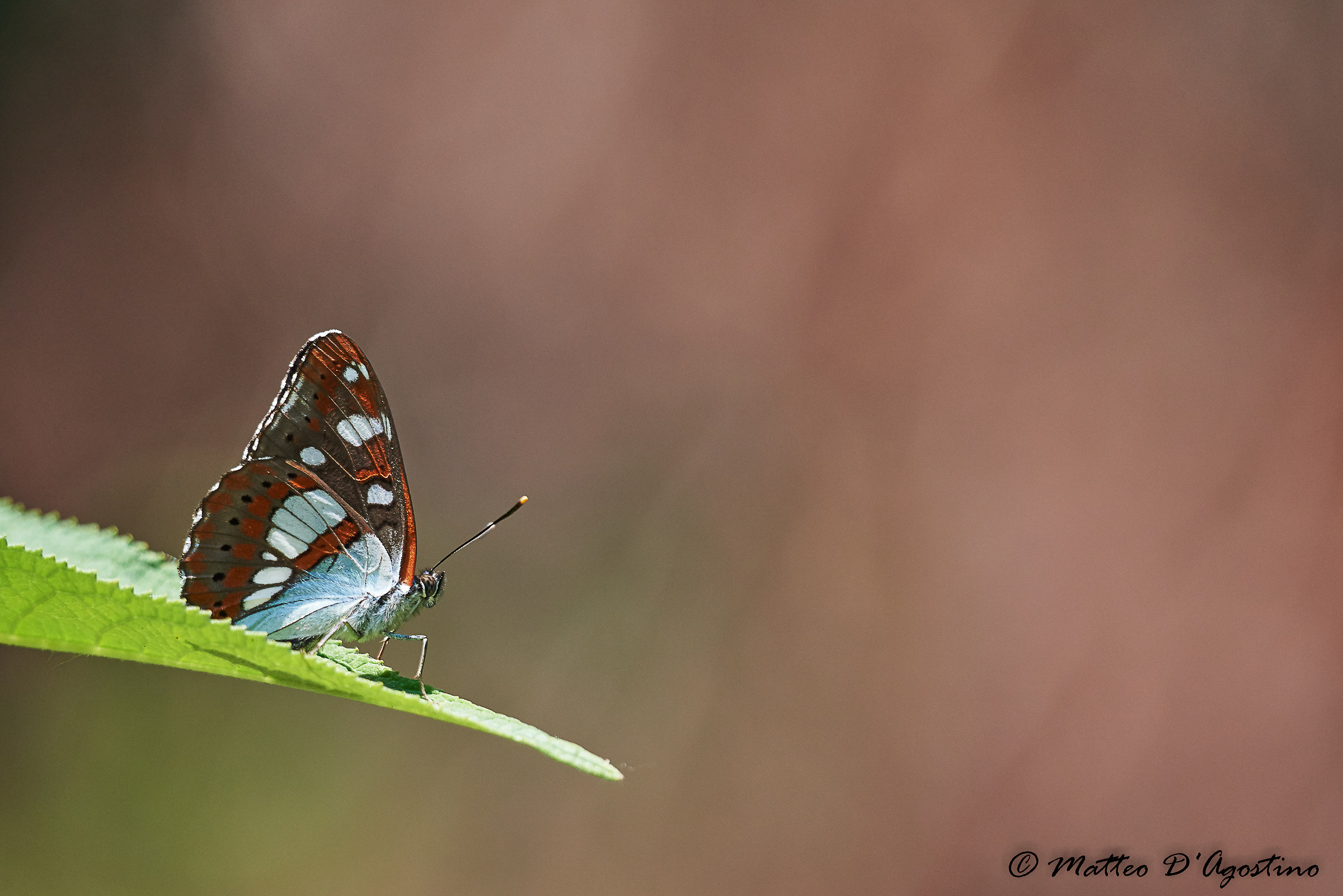 one of the most beautiful