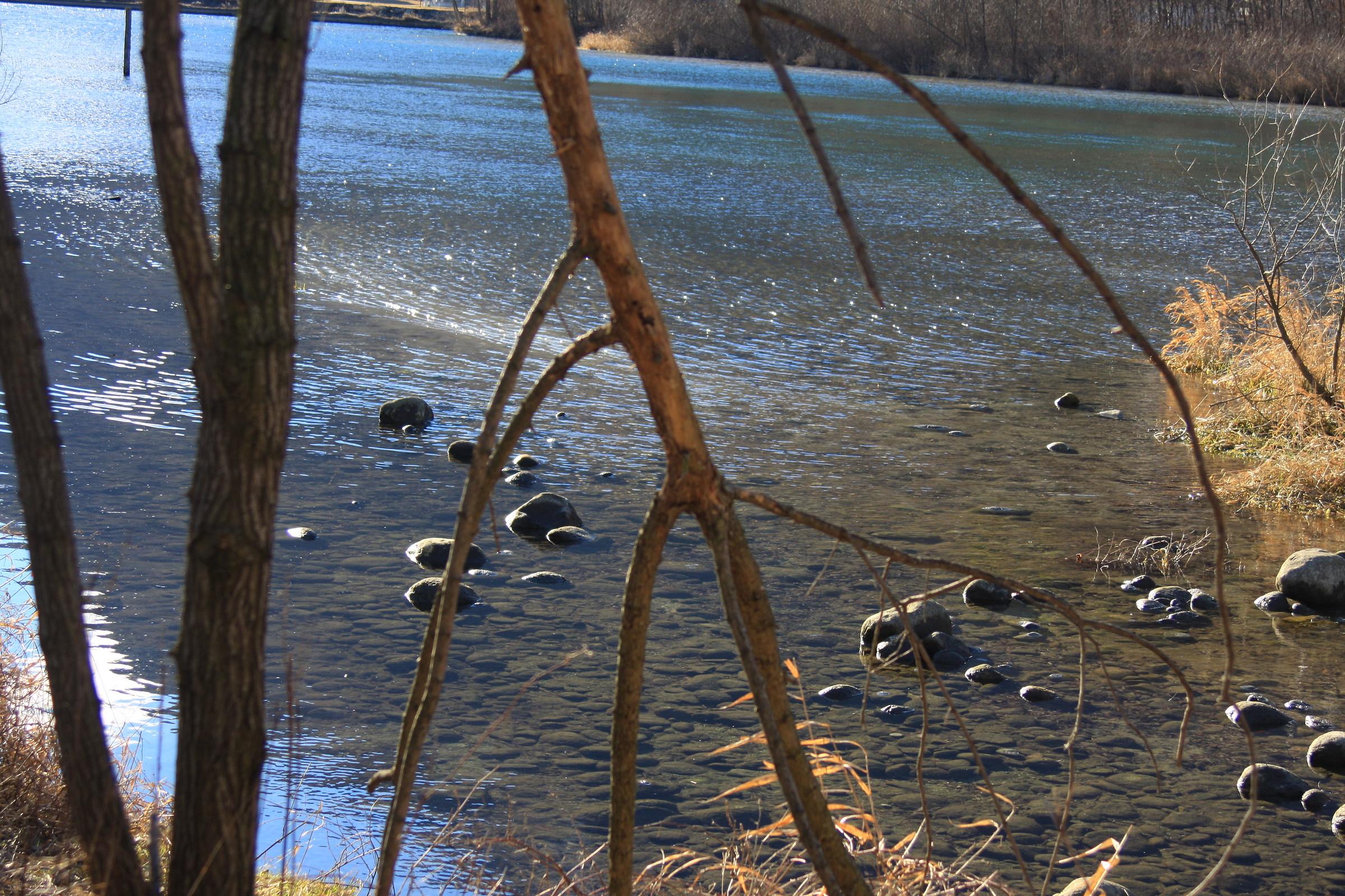 Strolling along the lair 1