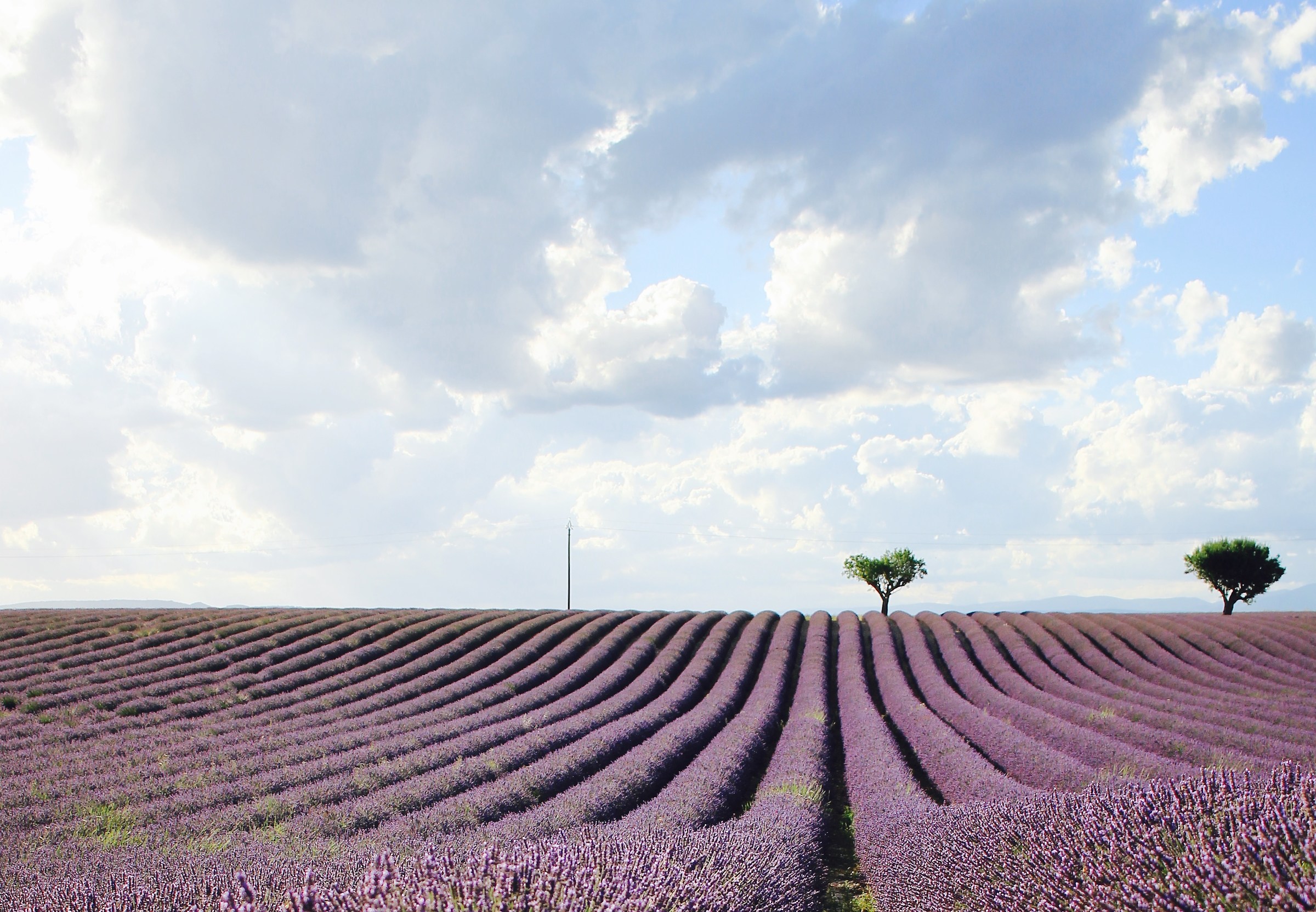 Provence