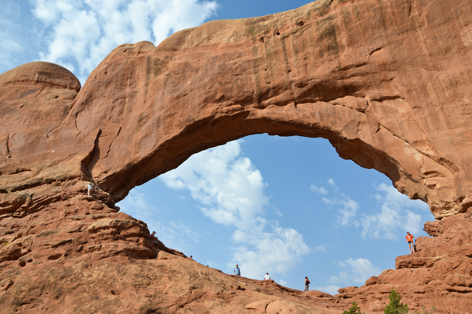 The immensity of nature