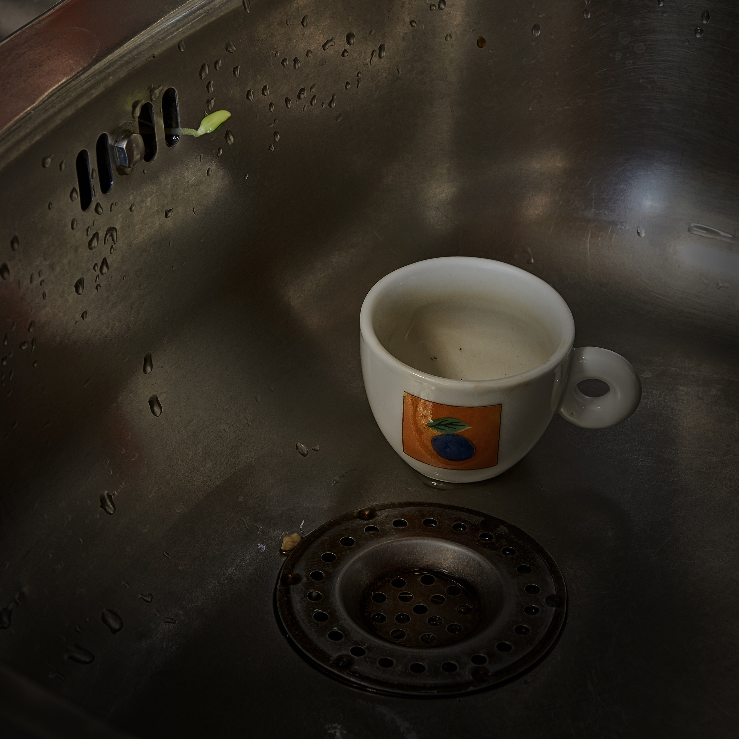 Steel and chlorophyll