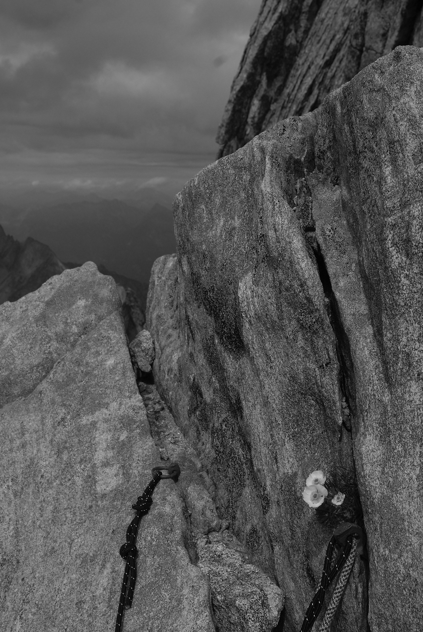 Via Normale al Badile - La storia dell'alpinismo