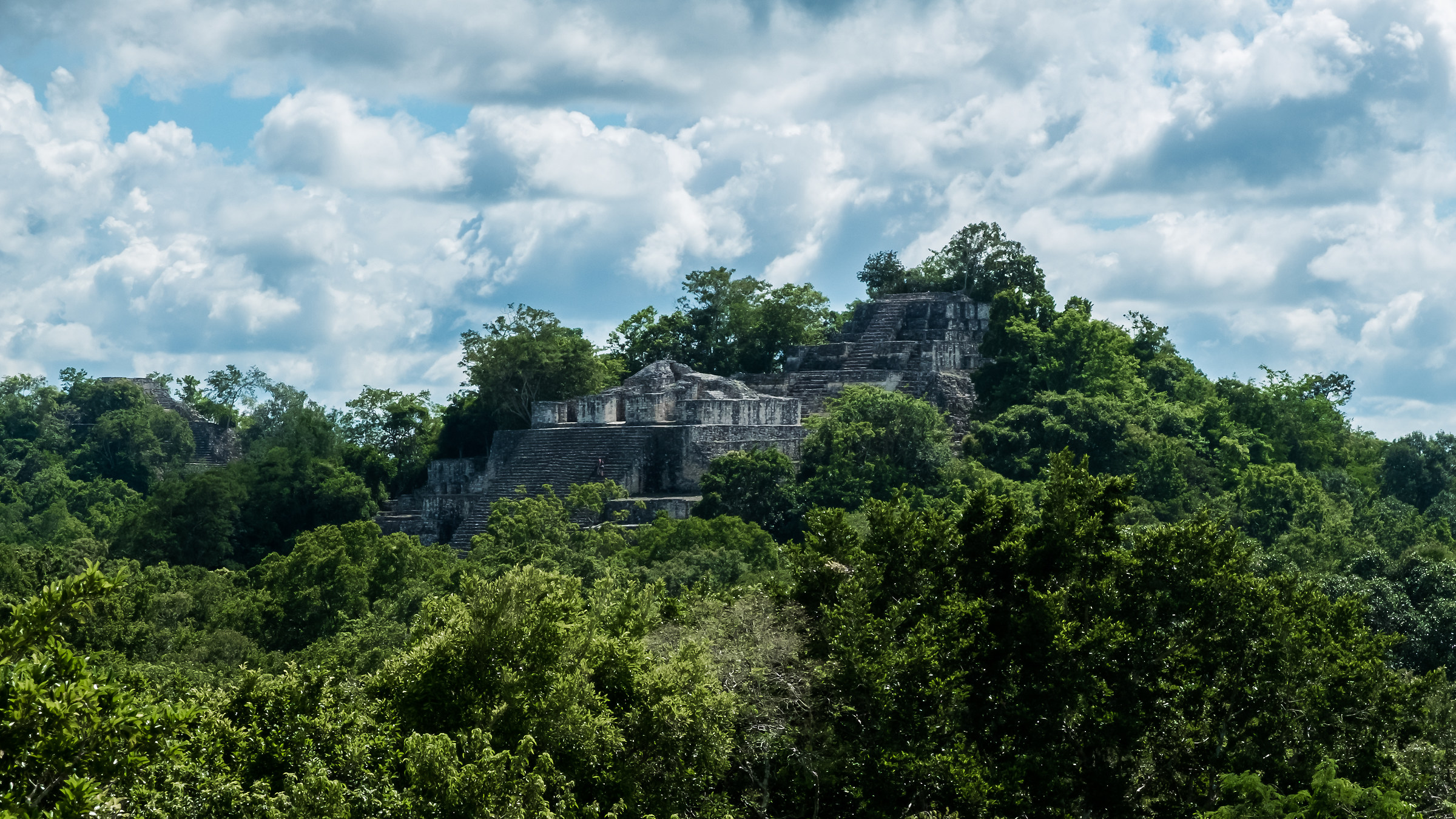 Calakmul - Temple flooded by the jungle