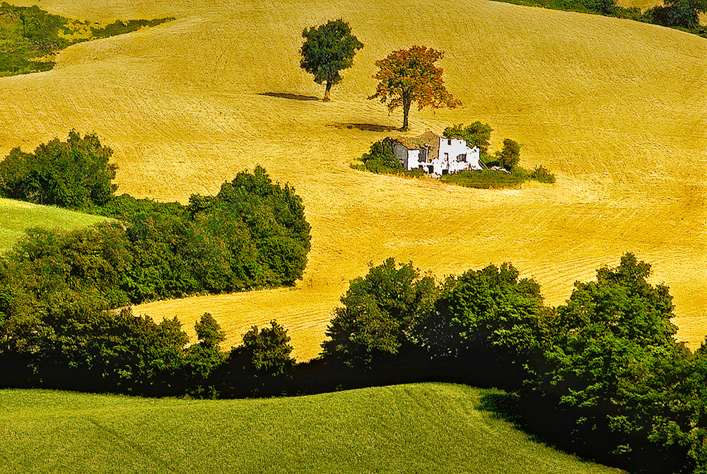 It's time to reap the grain