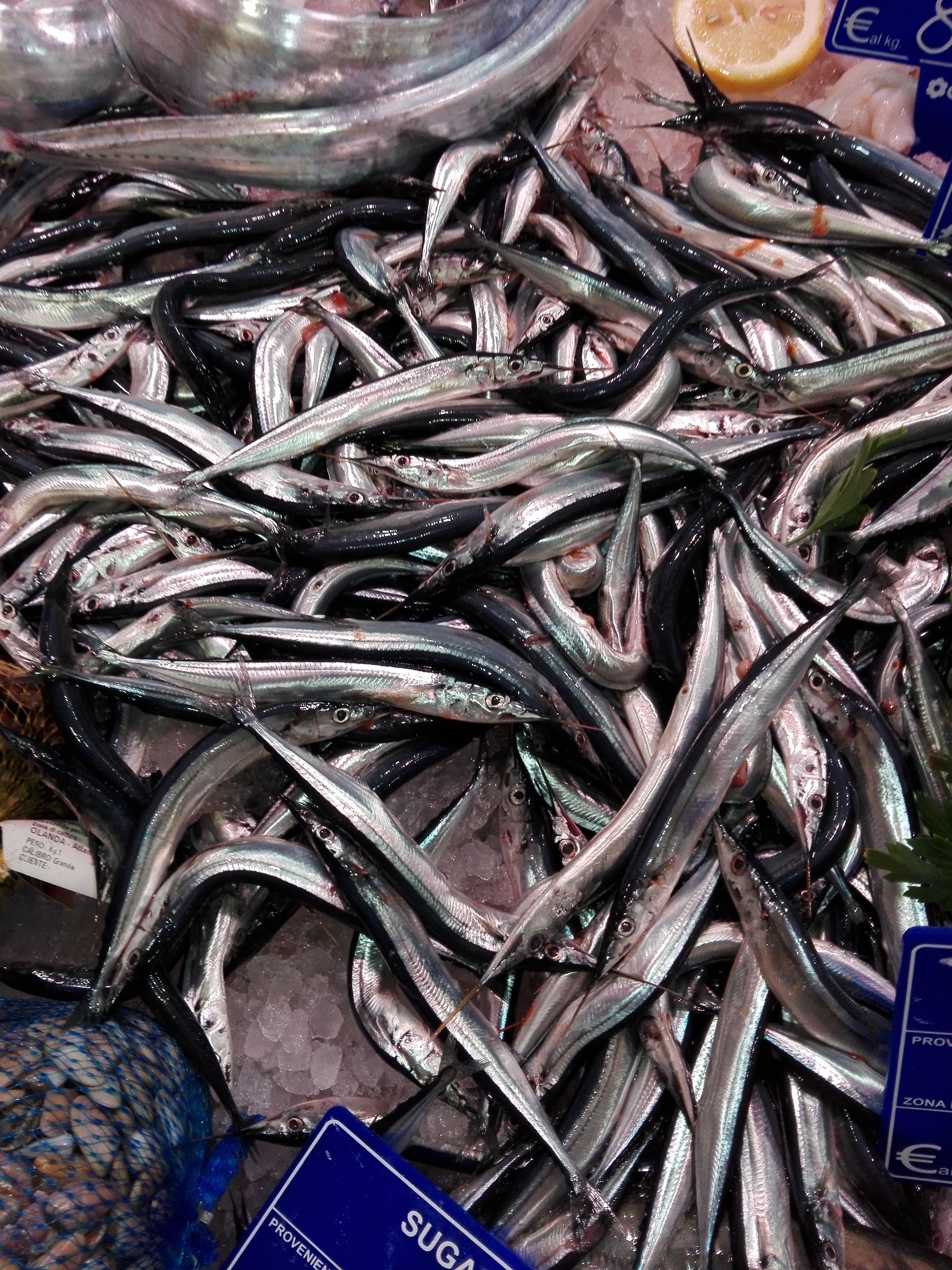 Costardelle dello stretto.mercato del pesce