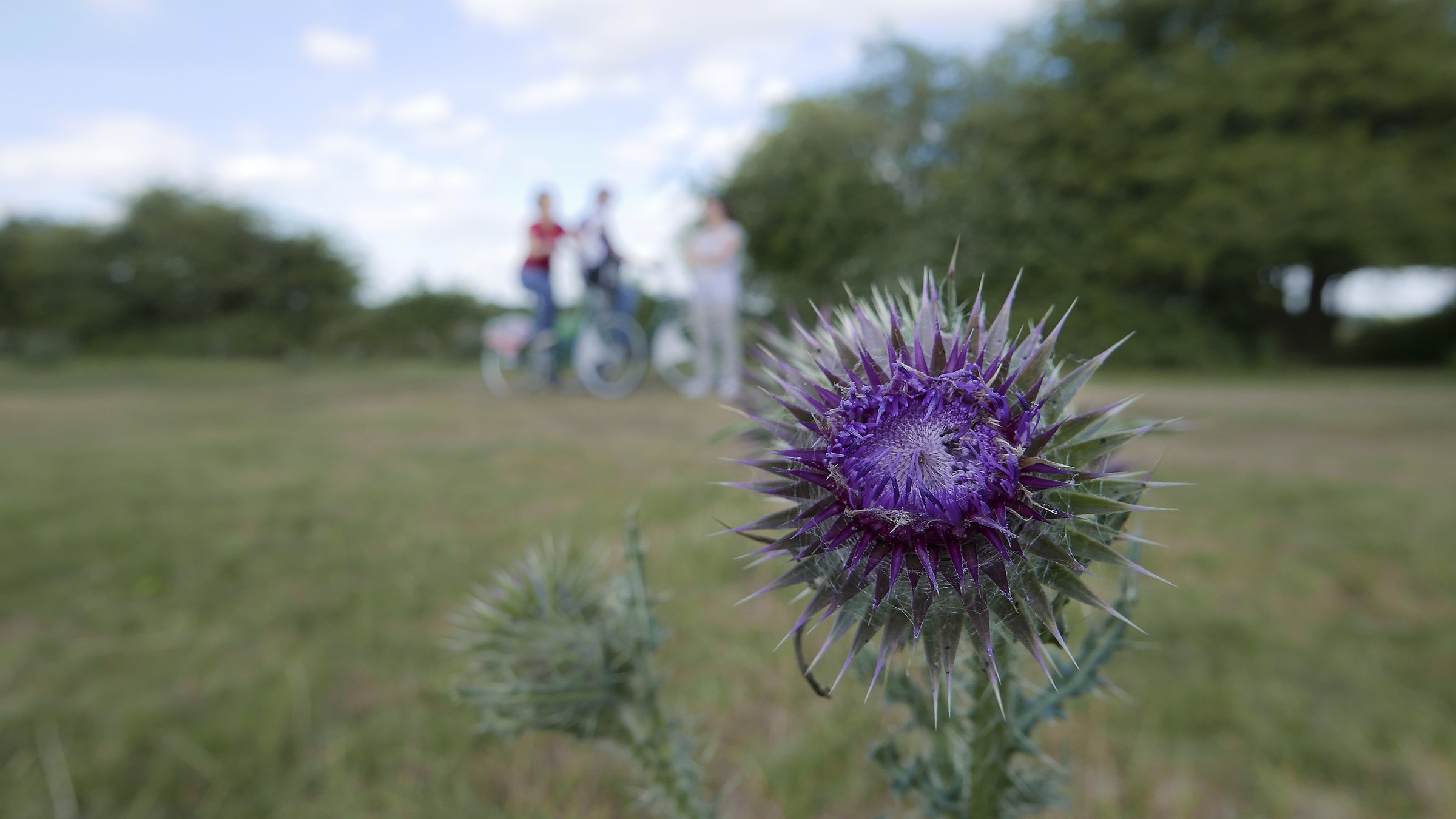 River Thames at Oxford