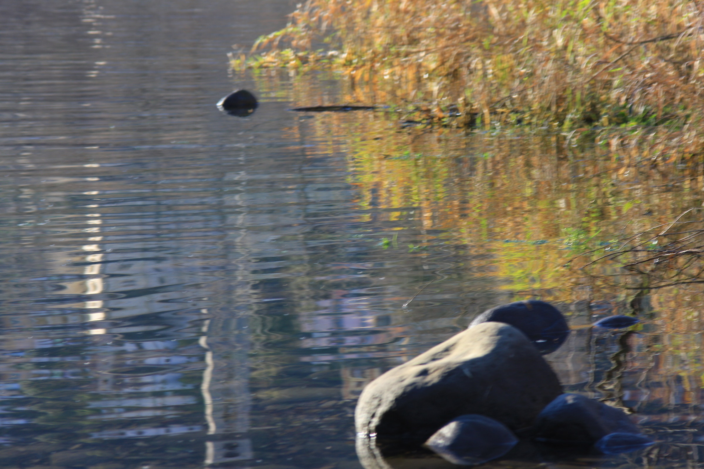 Emotions on the lair