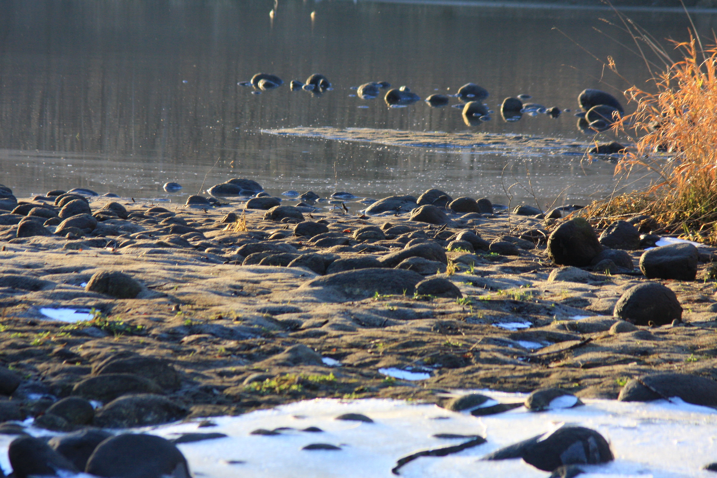 Emotions on the lair