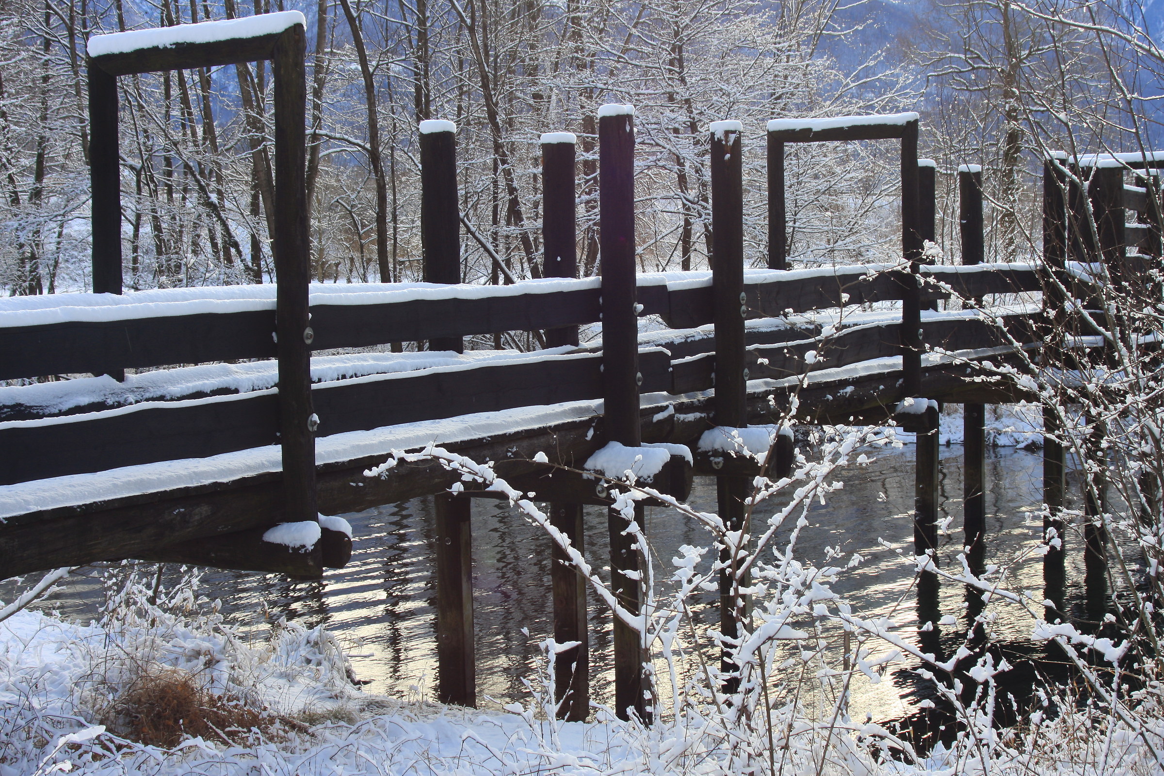 Emotions on the lair