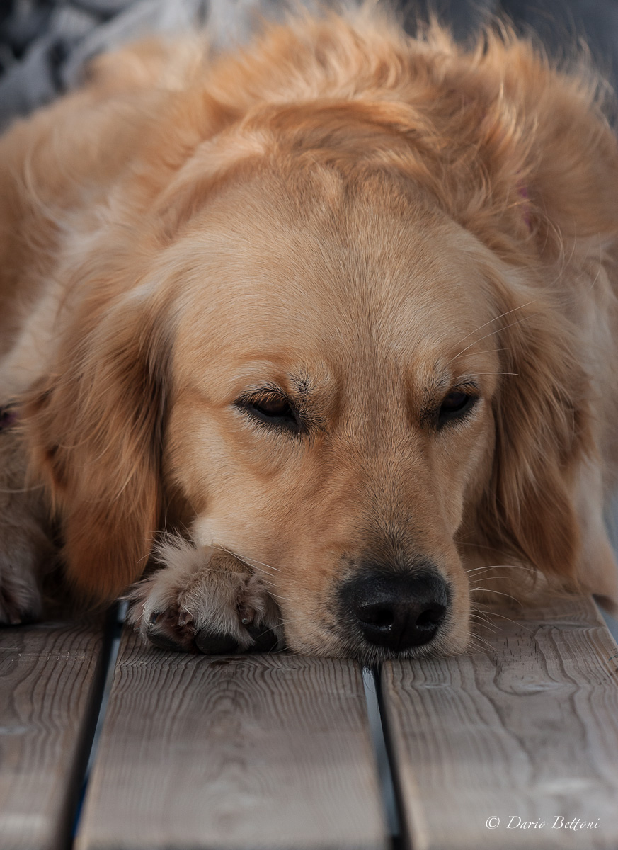 Riposo sul traghetto per la Finlandia