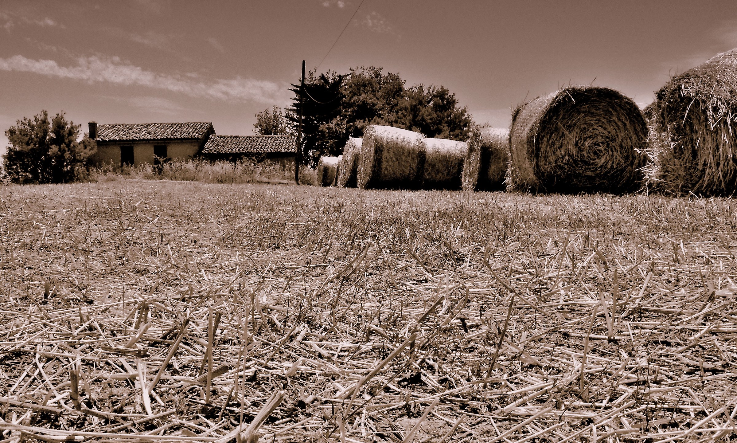 Until the Last Thread