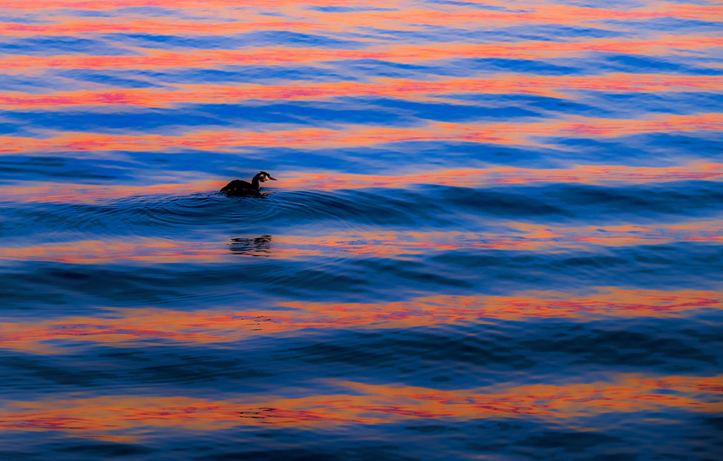 Onde di luce al tramonto