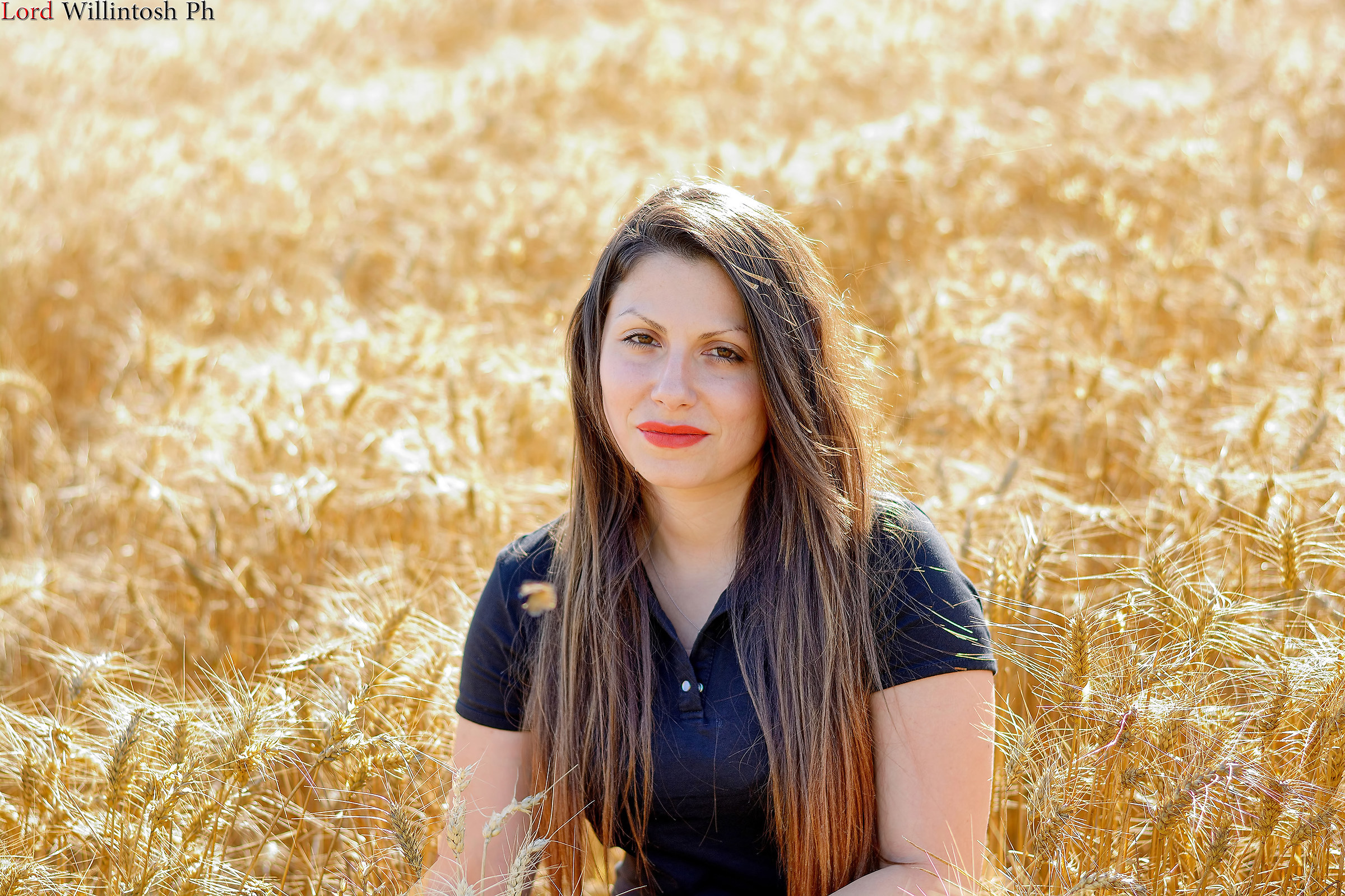 In the wheat field