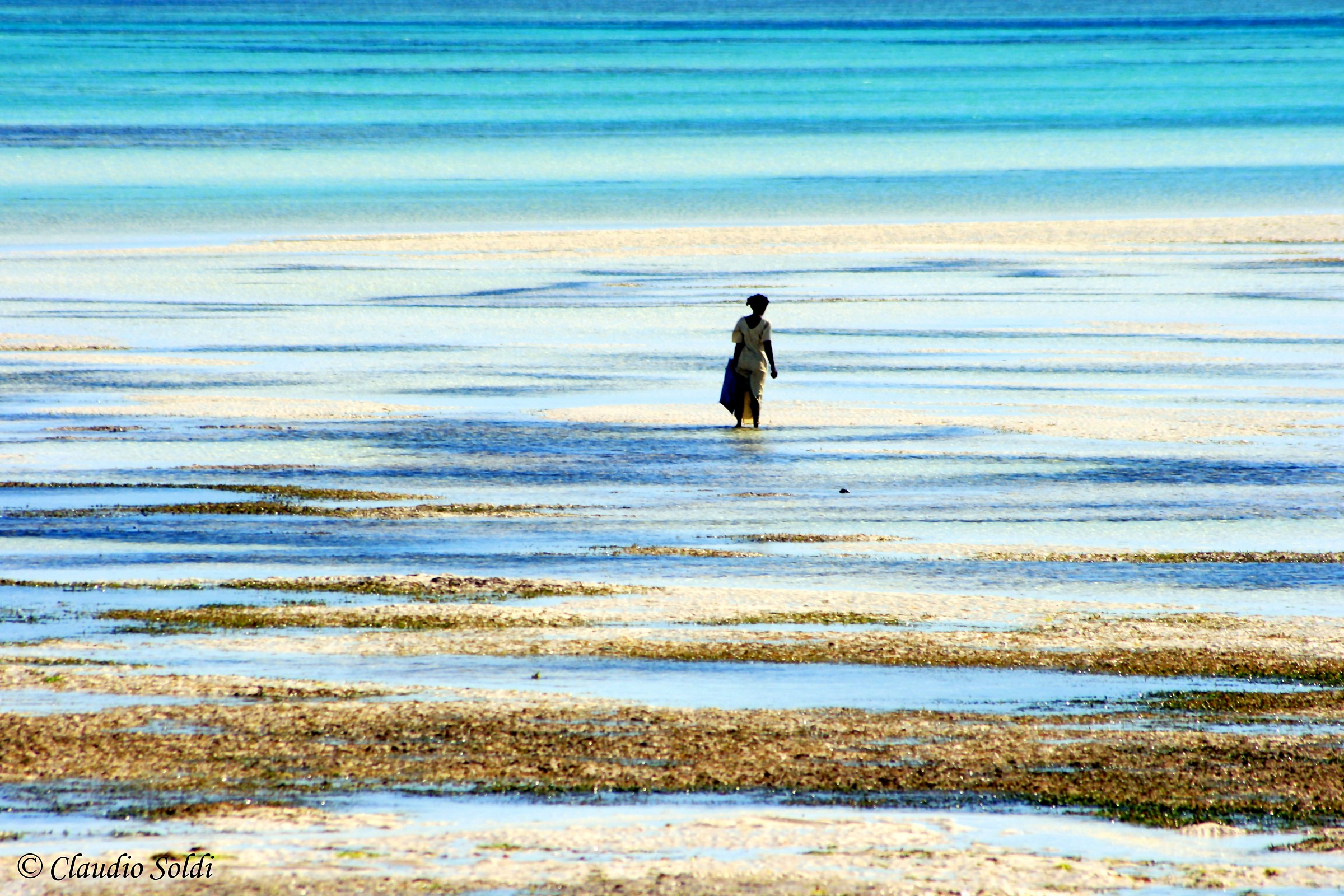 Mille sfumature di blu