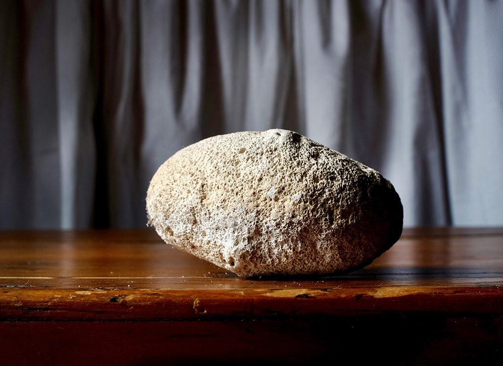 Stillife
