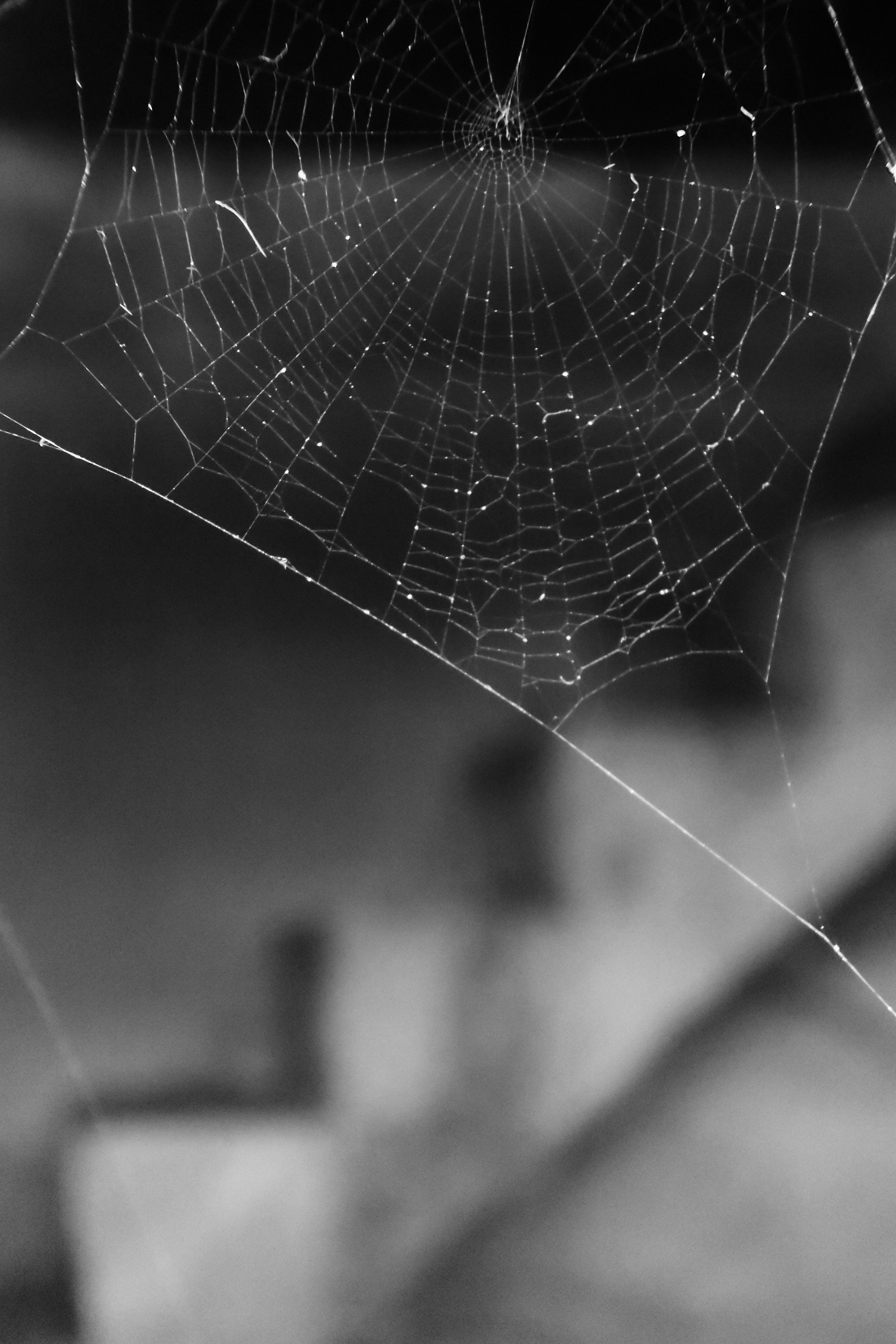 Alla ricerca del tempo perduto