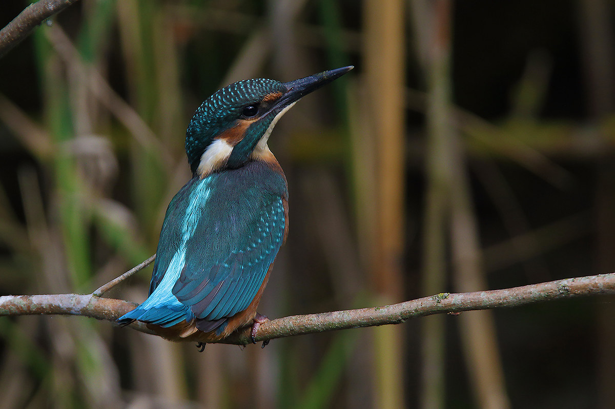 Hey you care for me ....