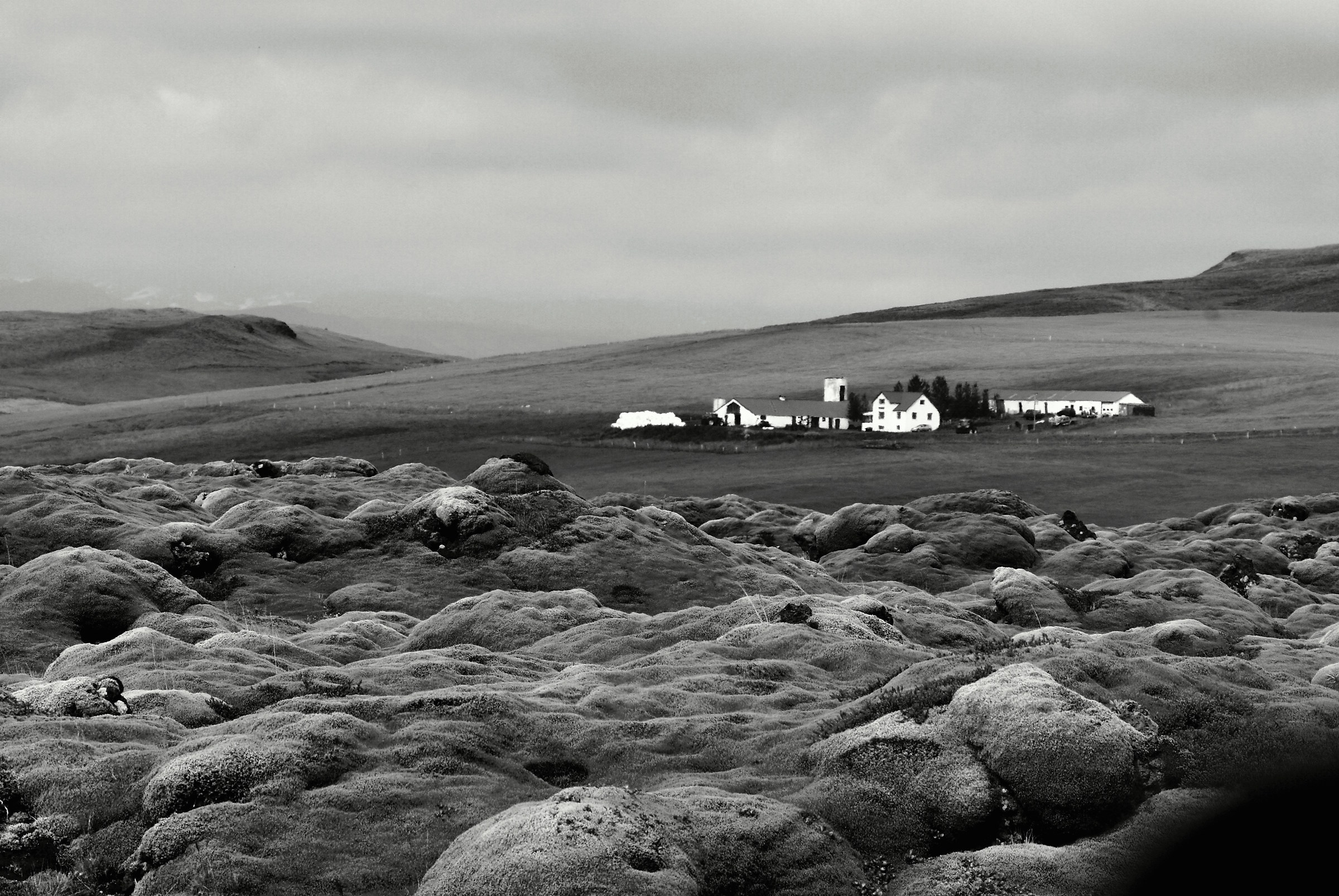 Farm in almost nothing ... BN version