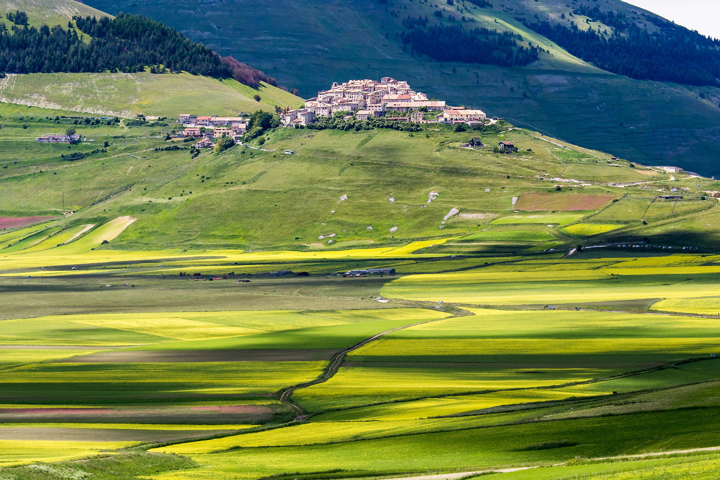 Castelluccio