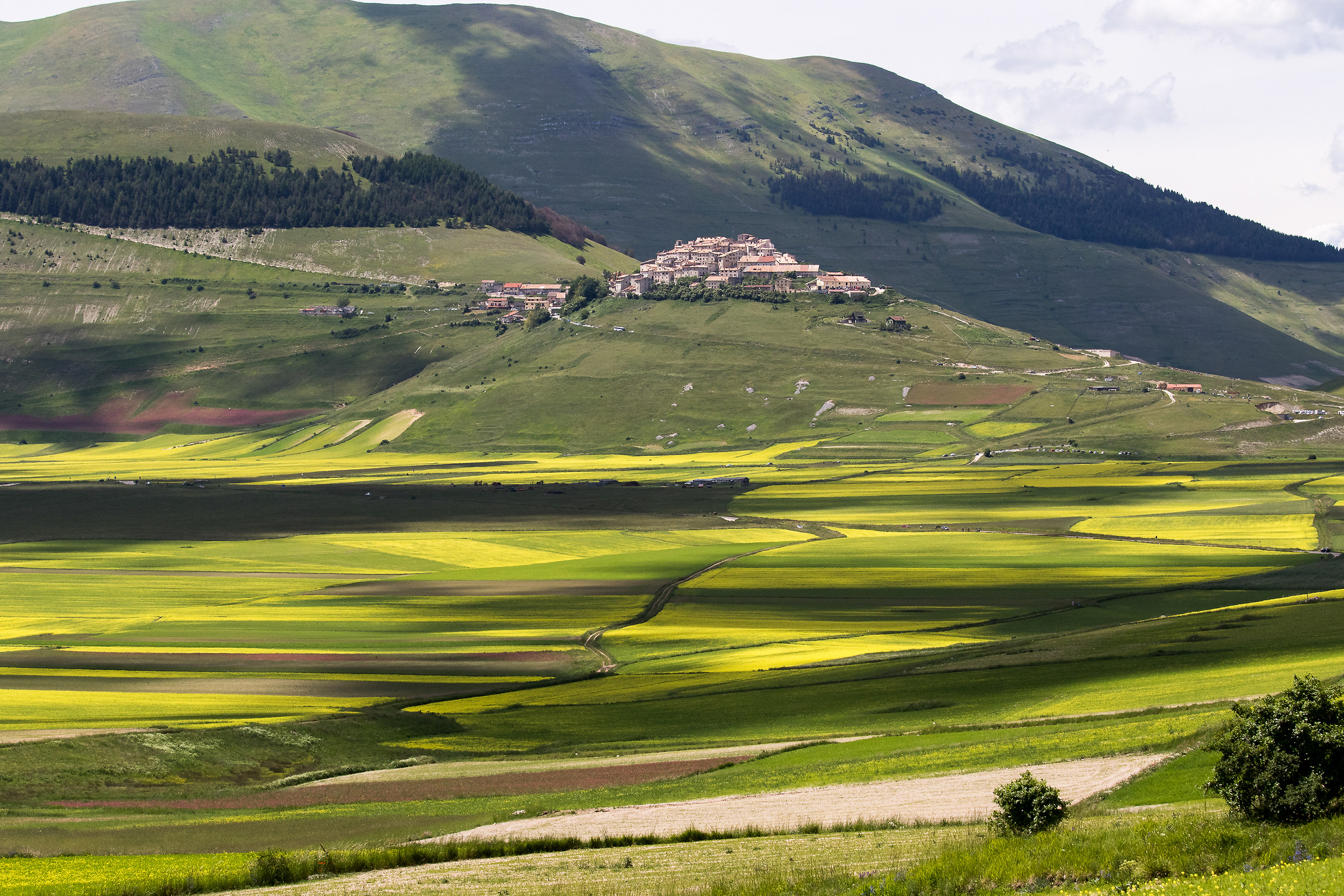 Castelluccio