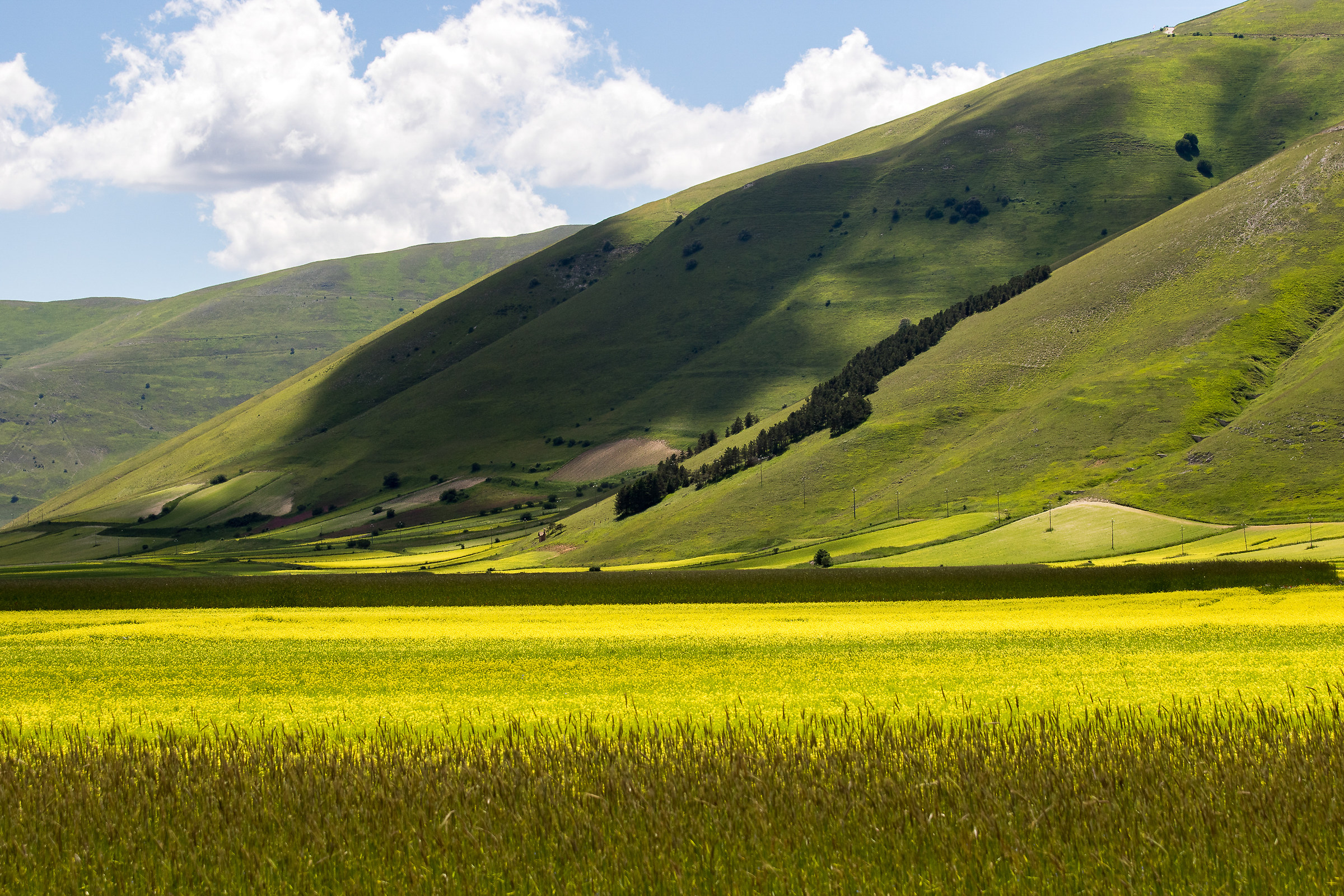 Castelluccio