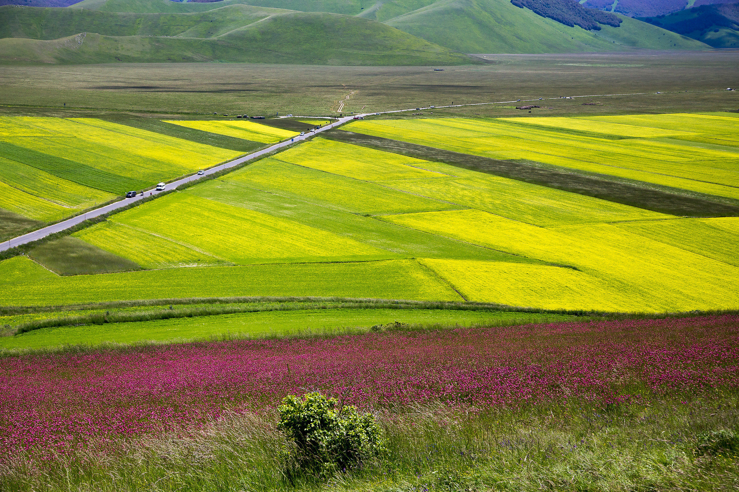 Castelluccio