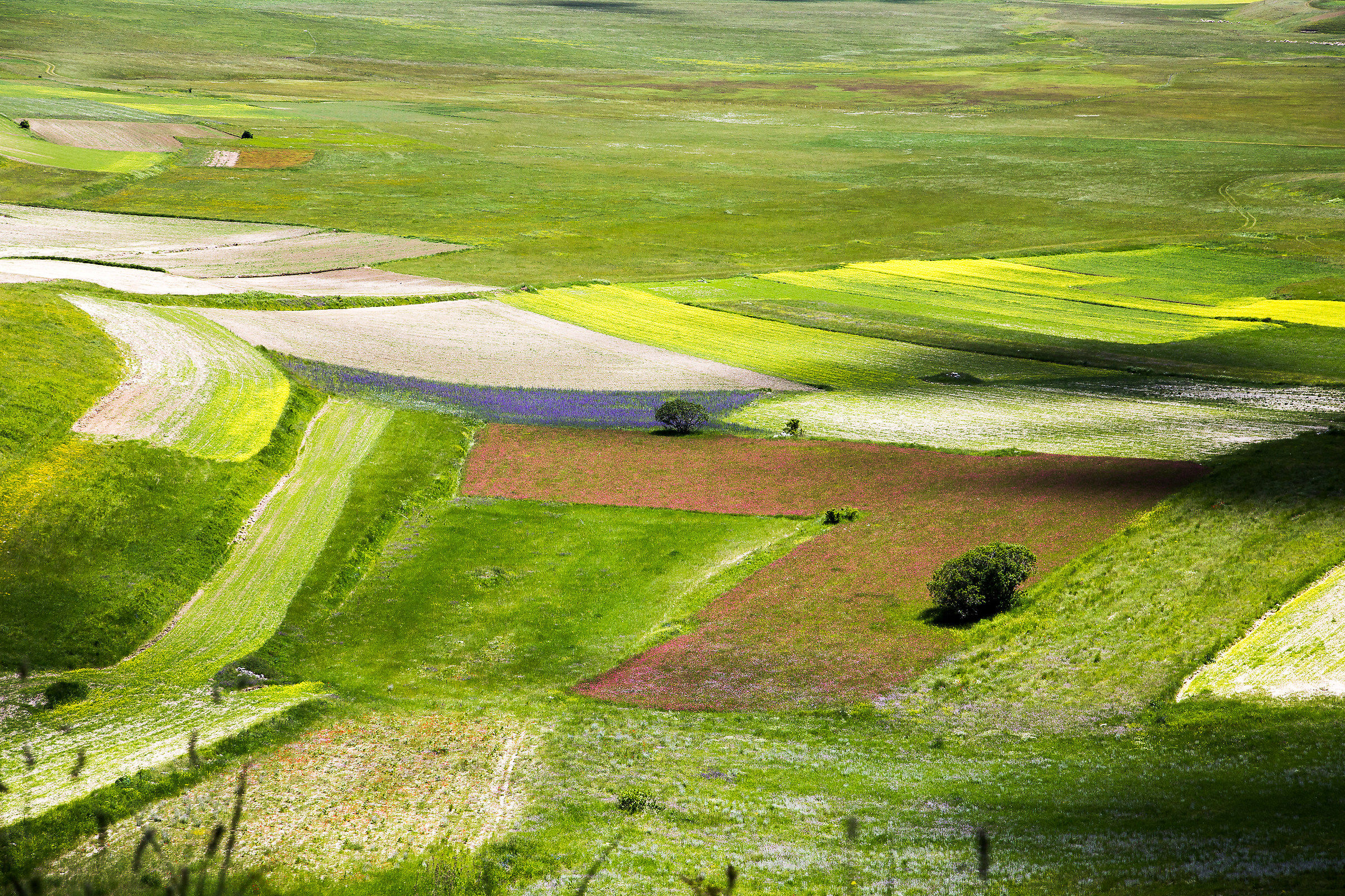 Castelluccio