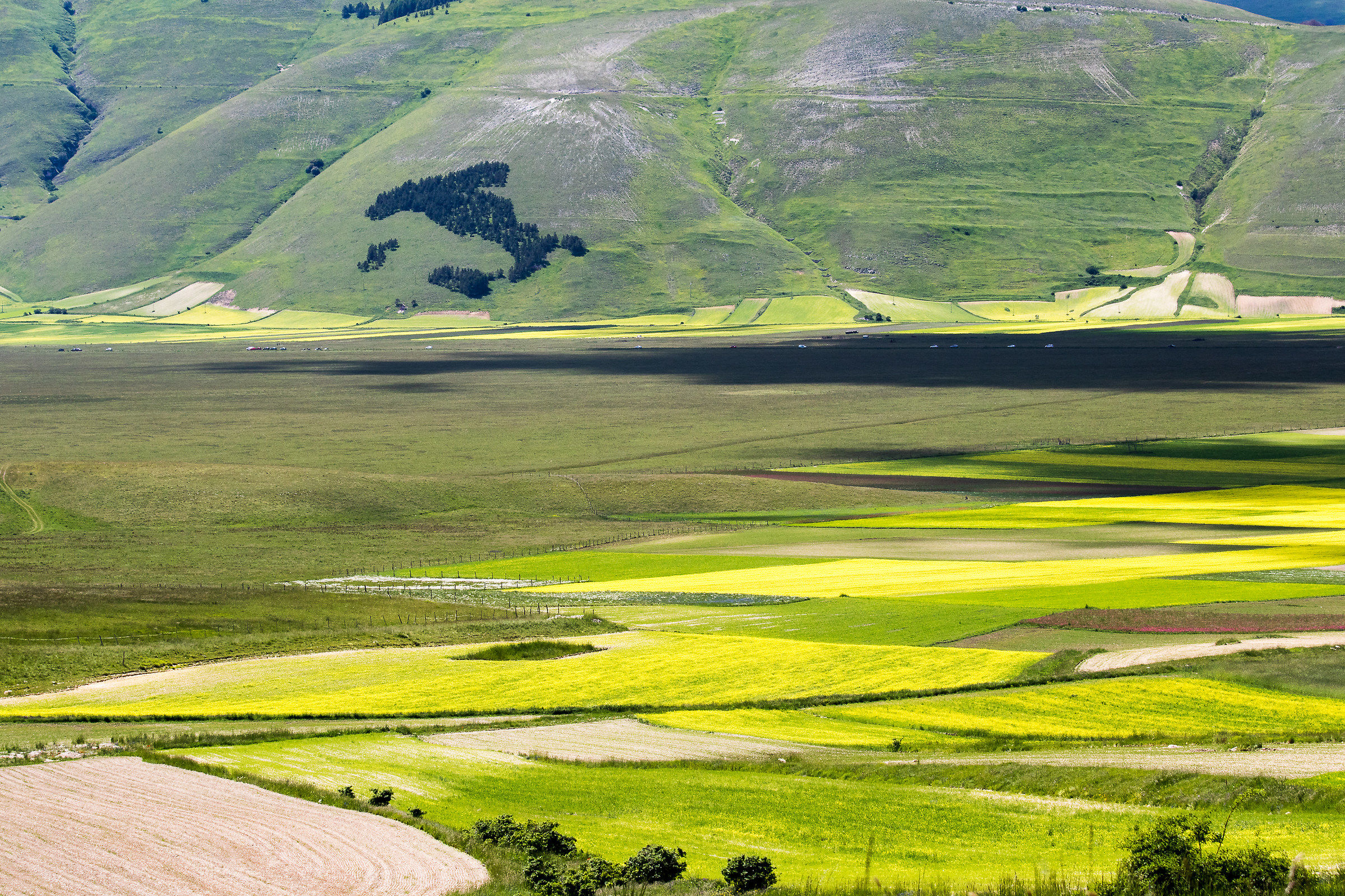 Castelluccio
