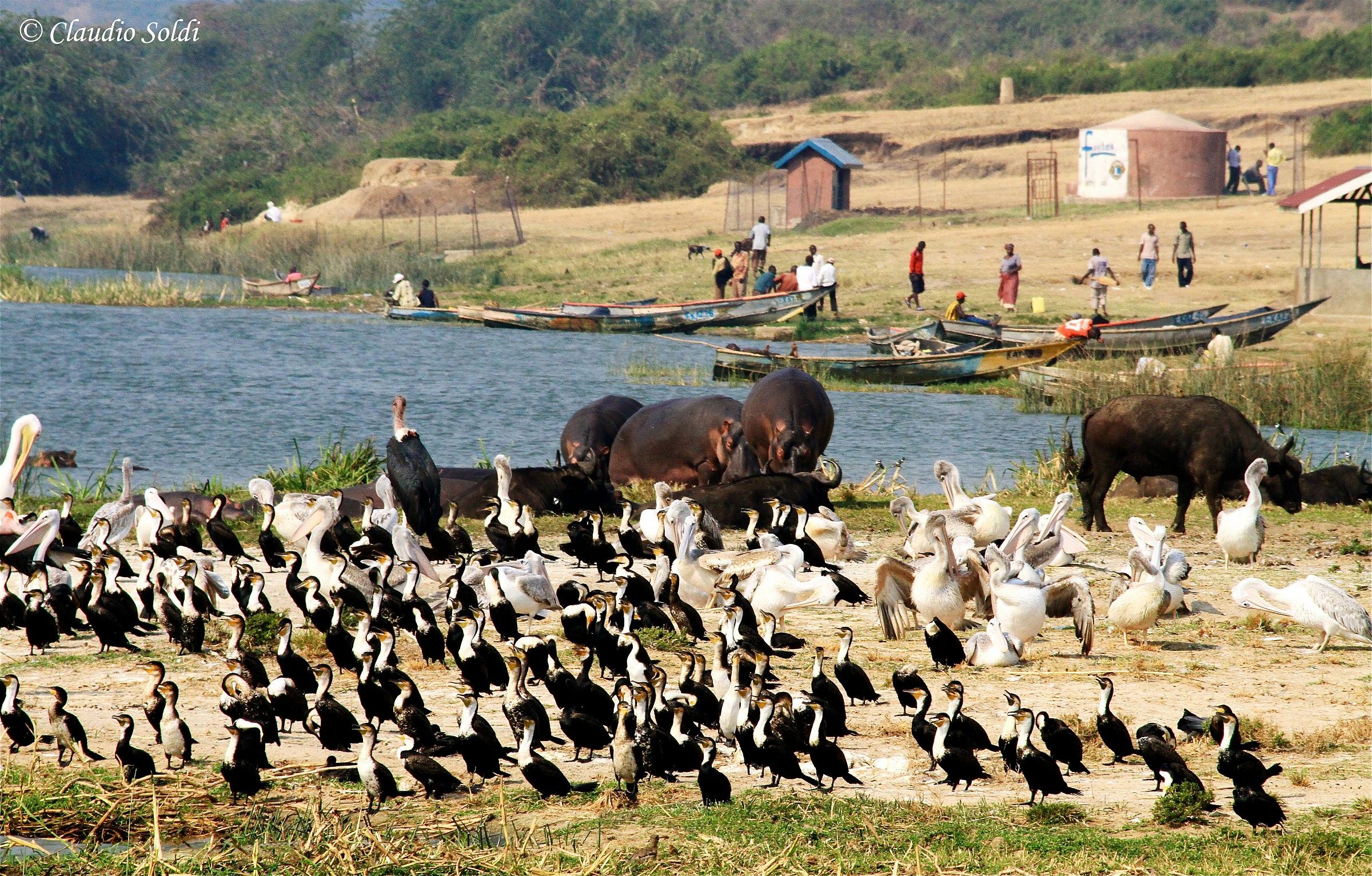 Armonia uomo natura - Uganda