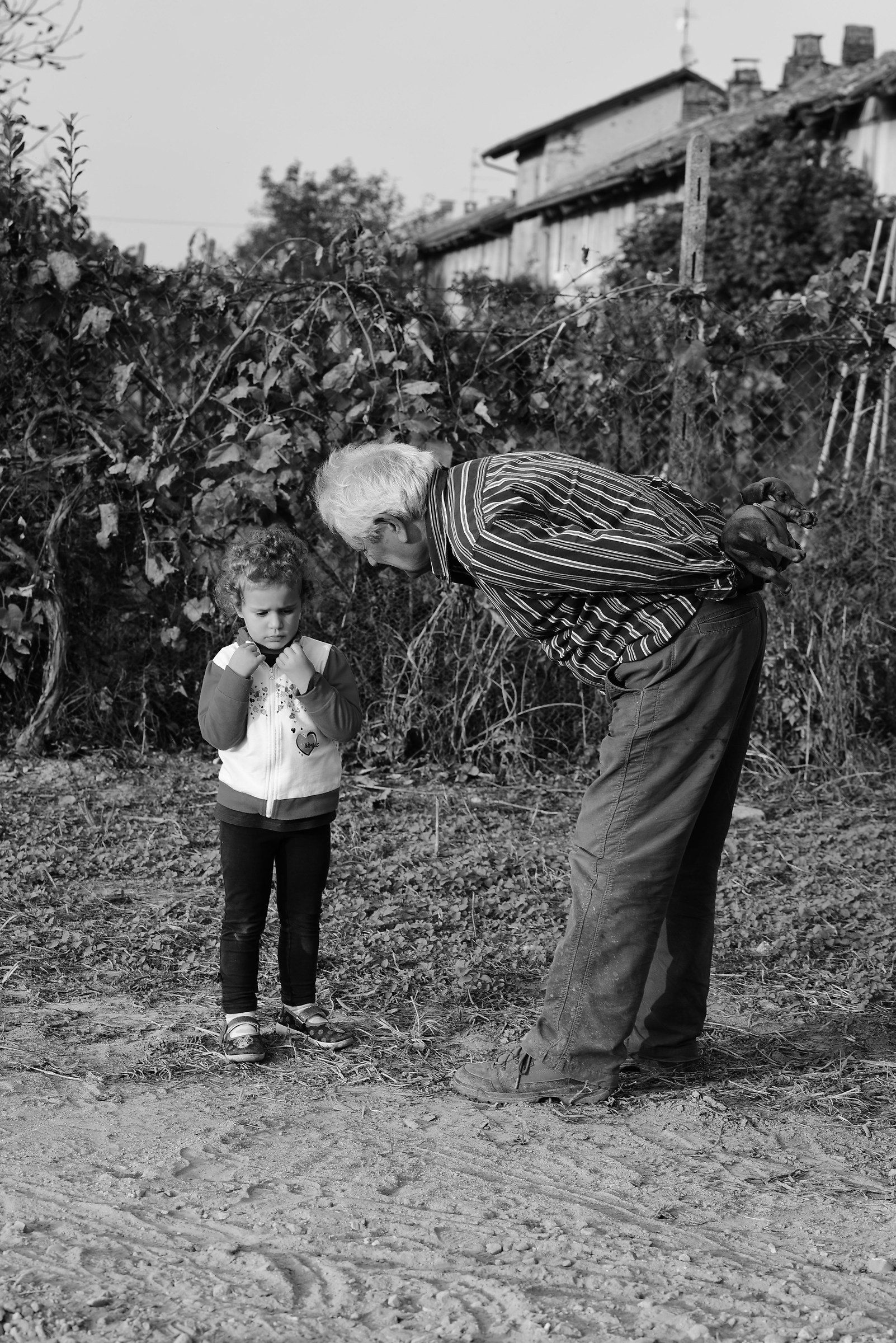 The grandfather's gift