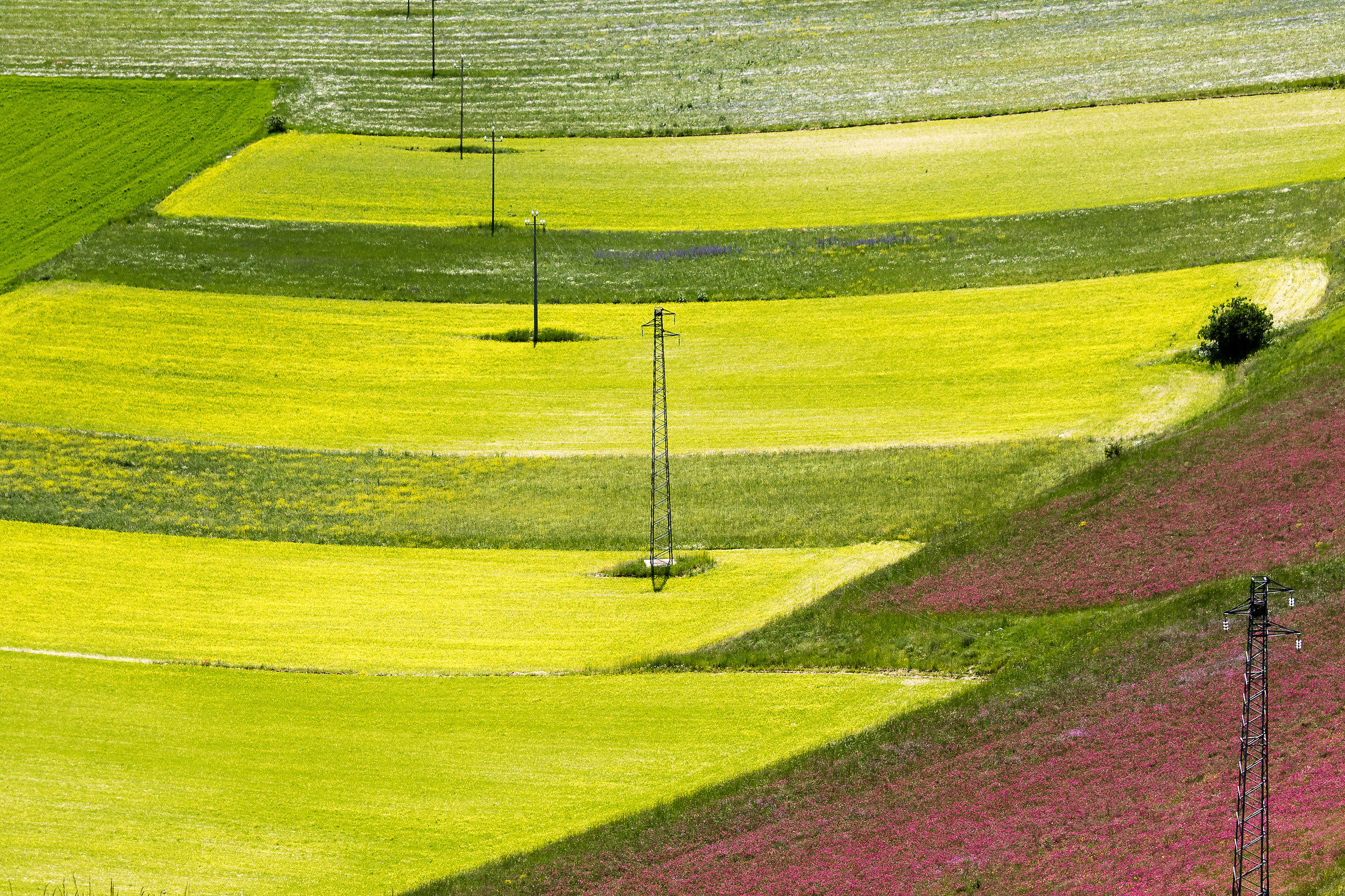 Castelluccio