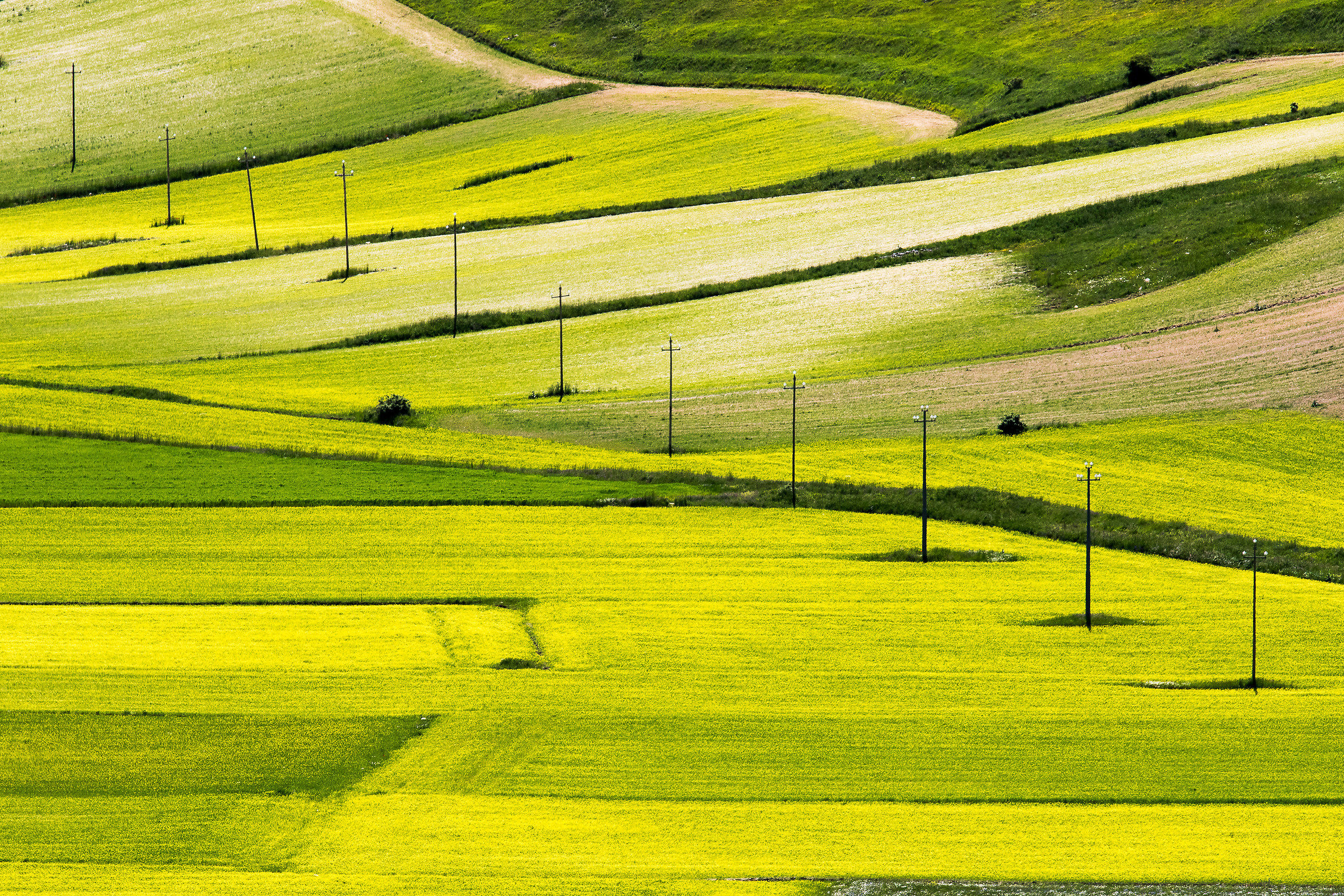 Castelluccio
