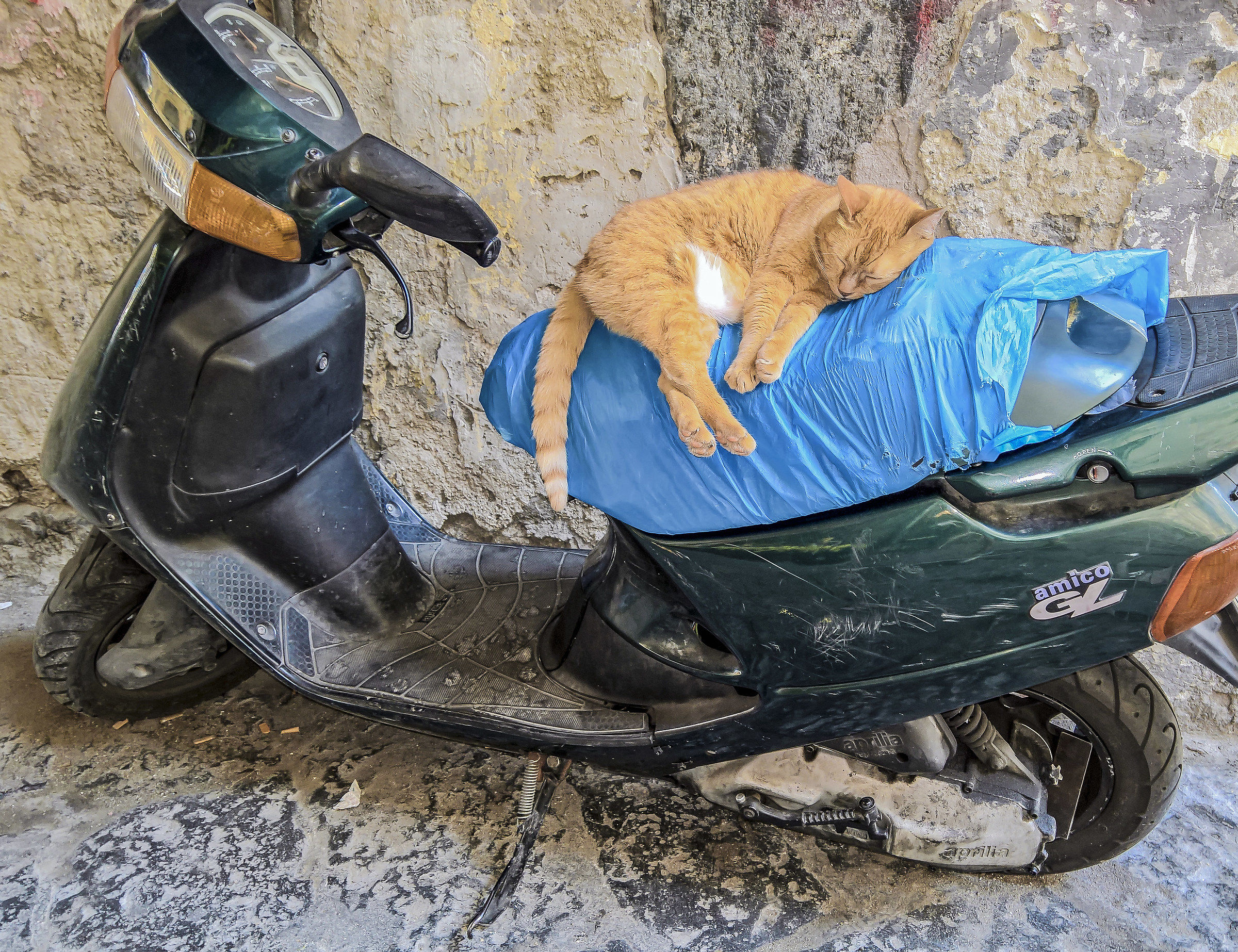 Let me stay silent (Let me have a peace ...)