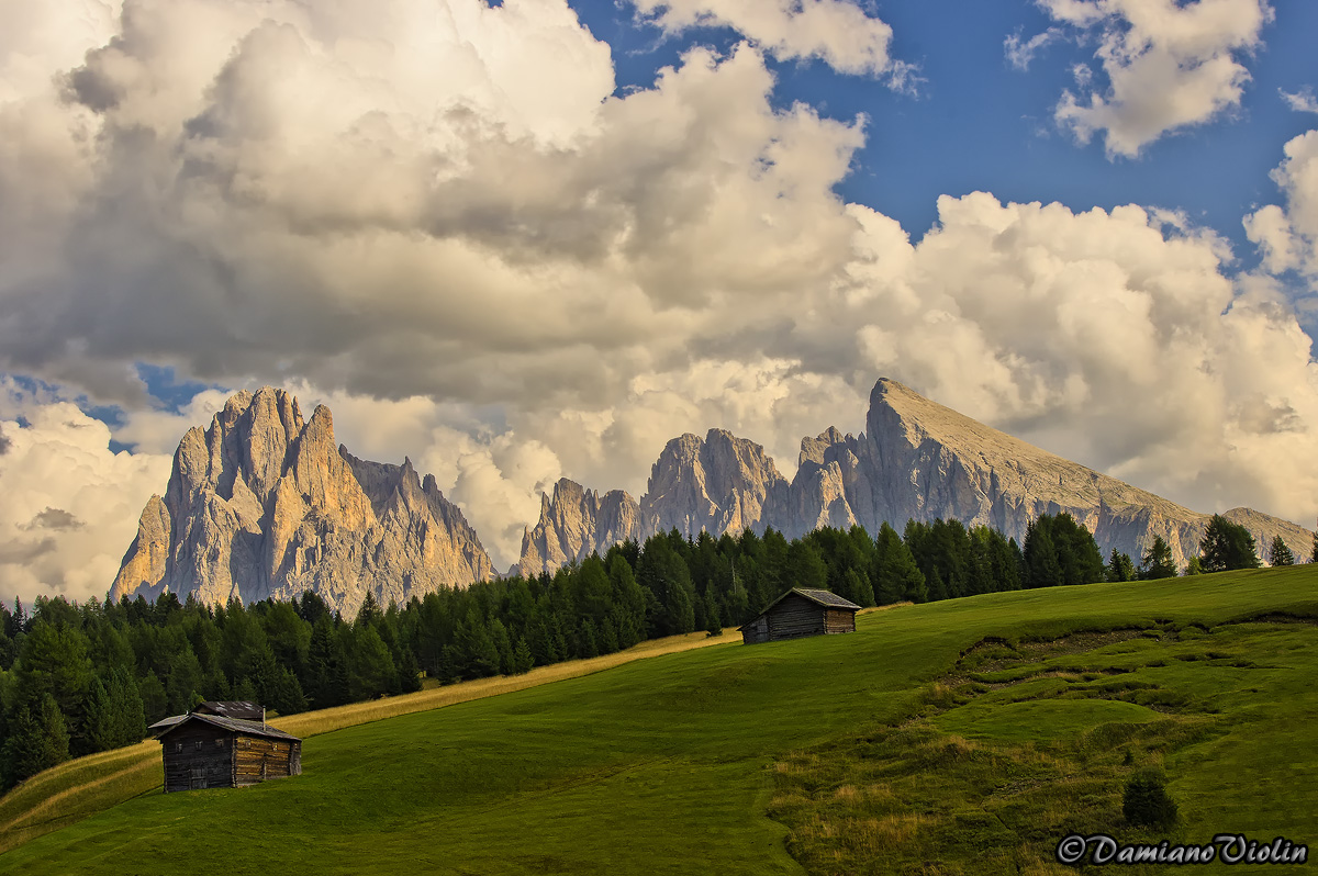 Alpe di Siusi e Sassolungo