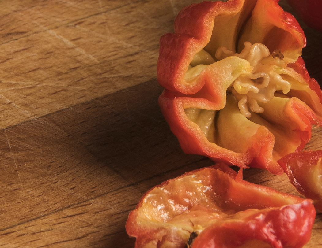 Summer salad and morris scorpion - detail