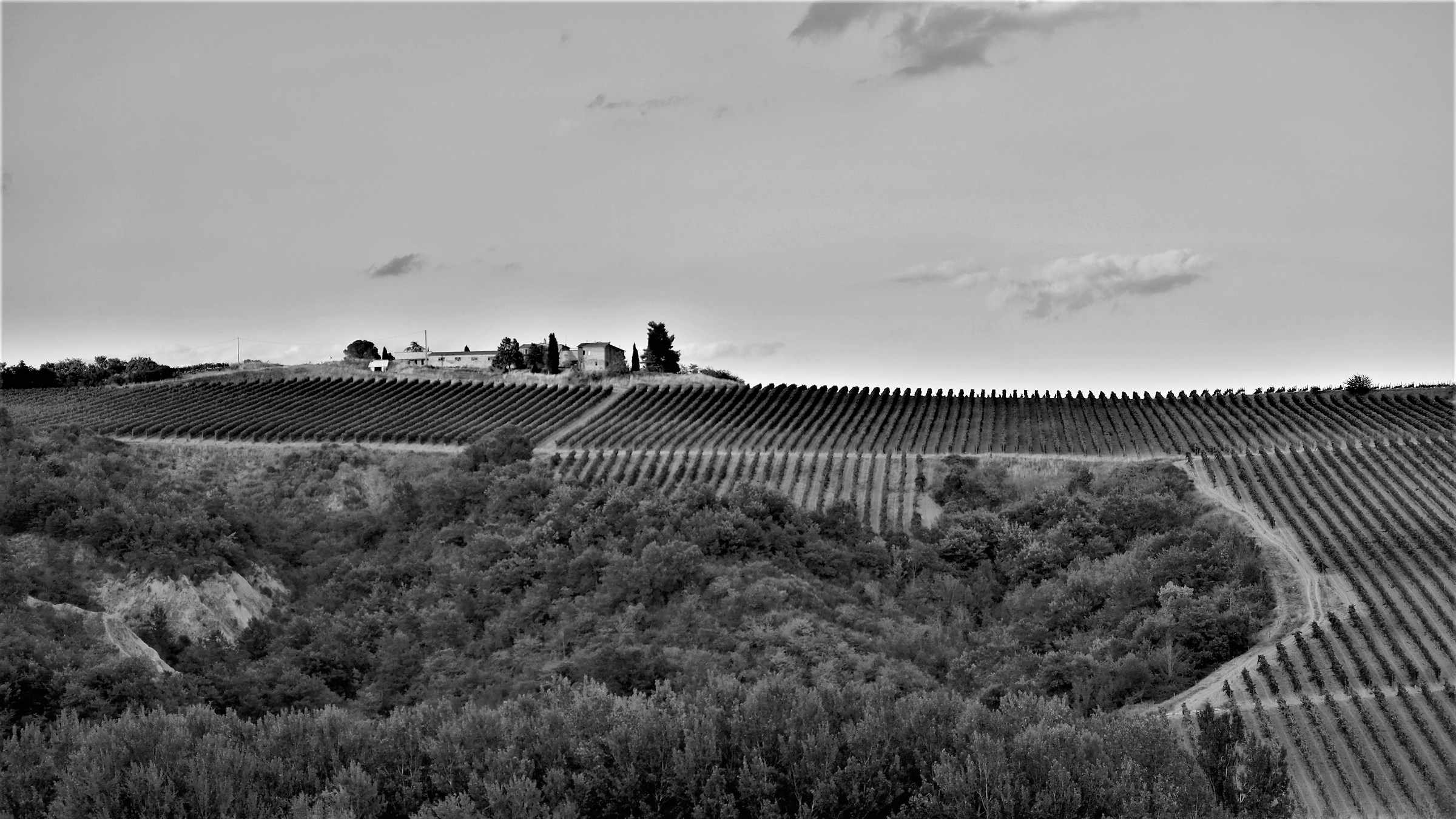 Countryside near Castelviscardo