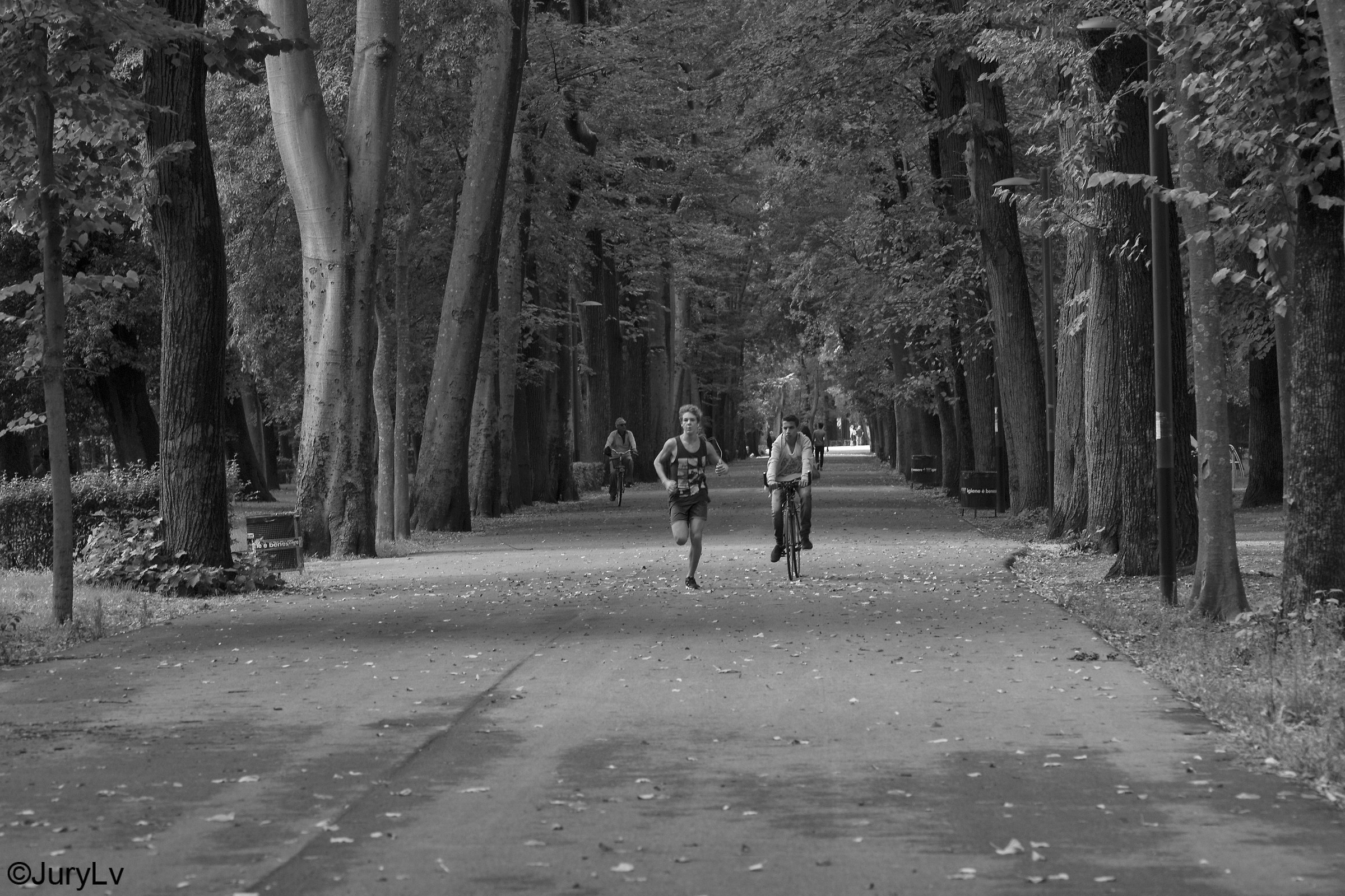 Training takes so much workout ...