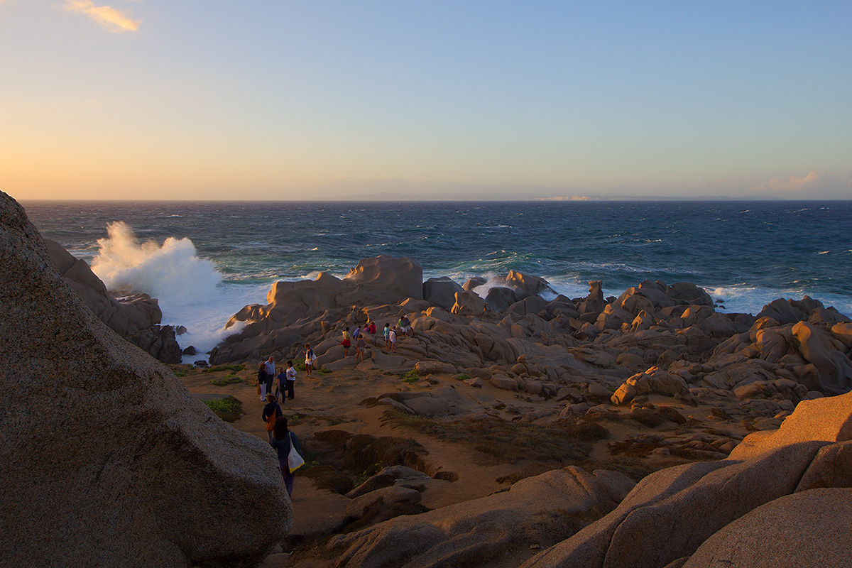 Capoo Testa in una giornata ventosa!