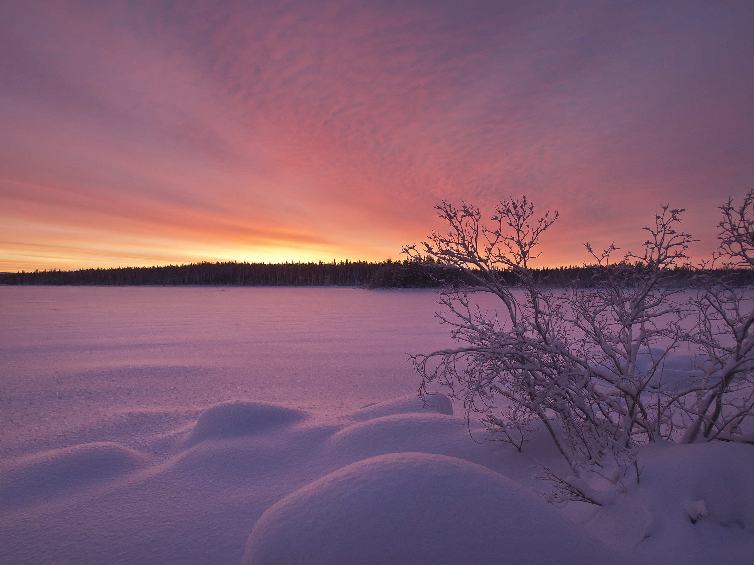 Northern Finland landscape