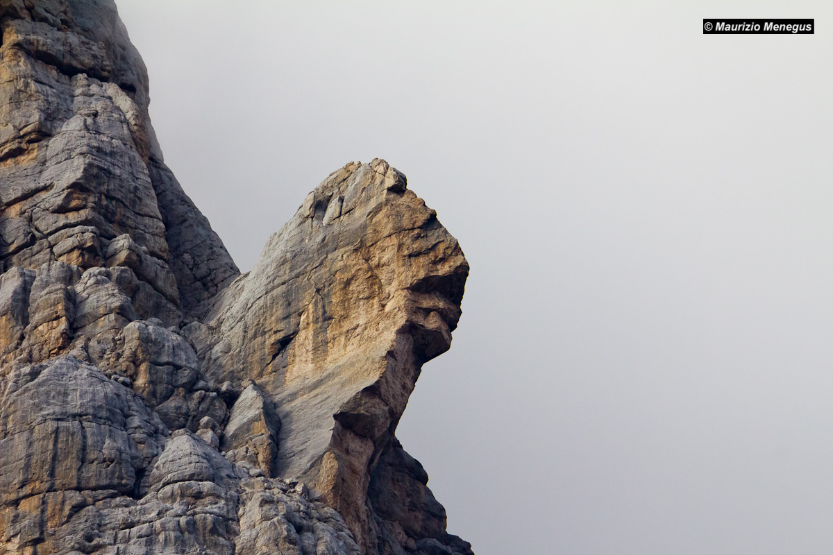 Natural Sculptures: Lion Head, Croda Marcora