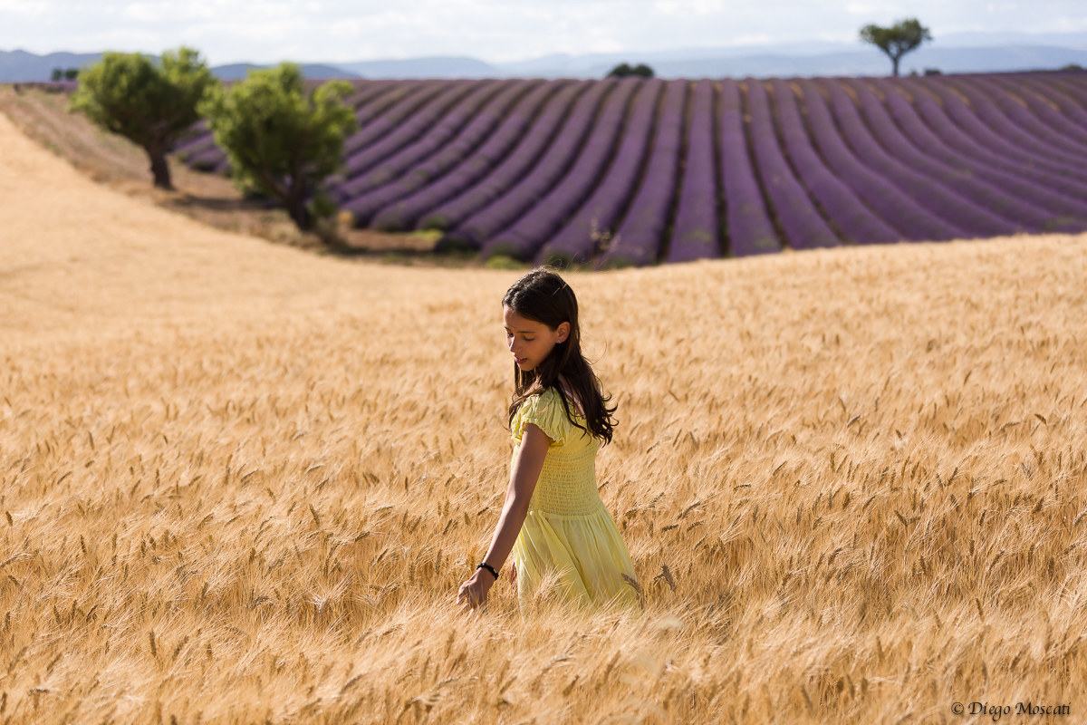 Provenza di colori...