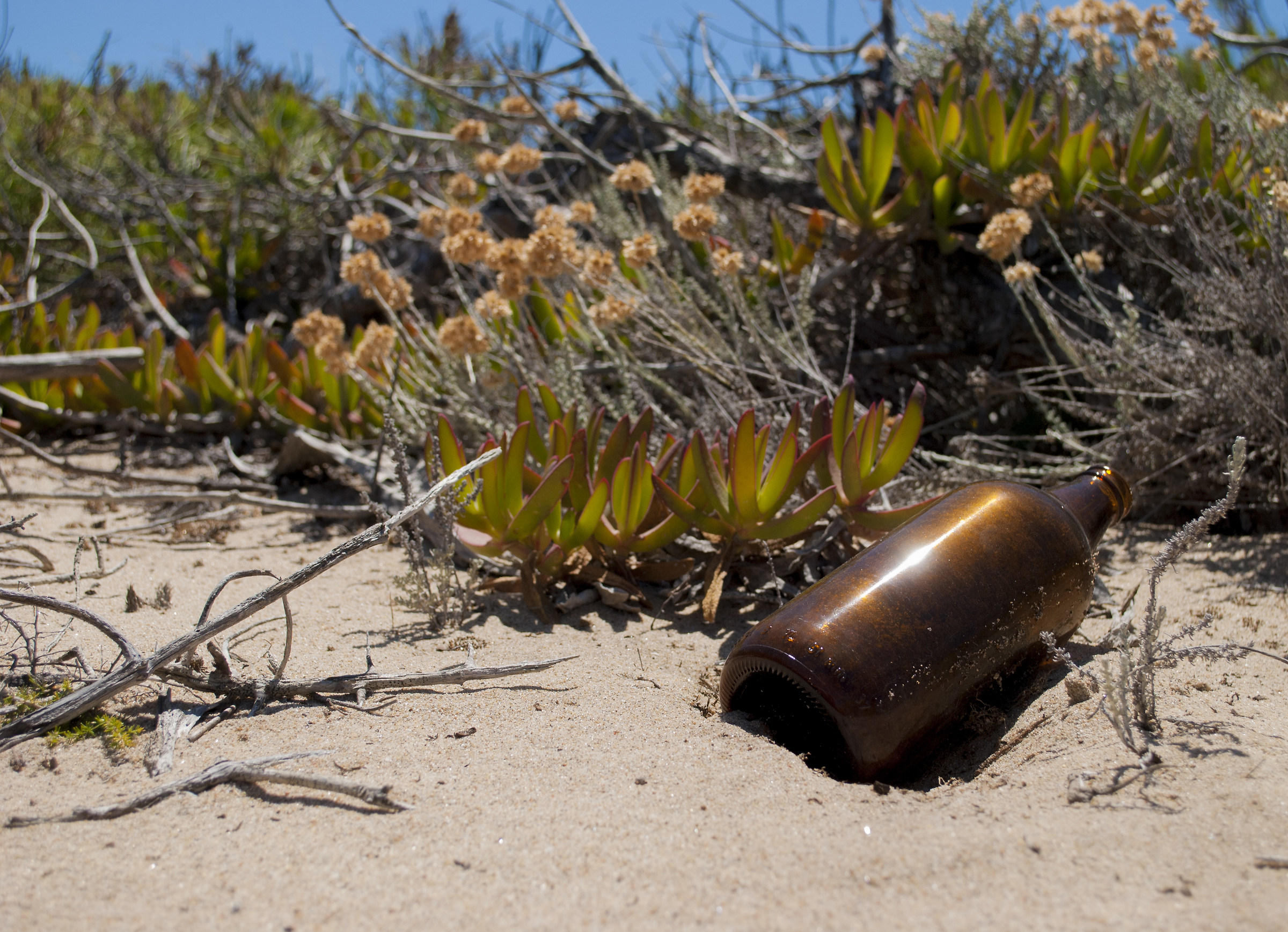 Mediterranean pollution